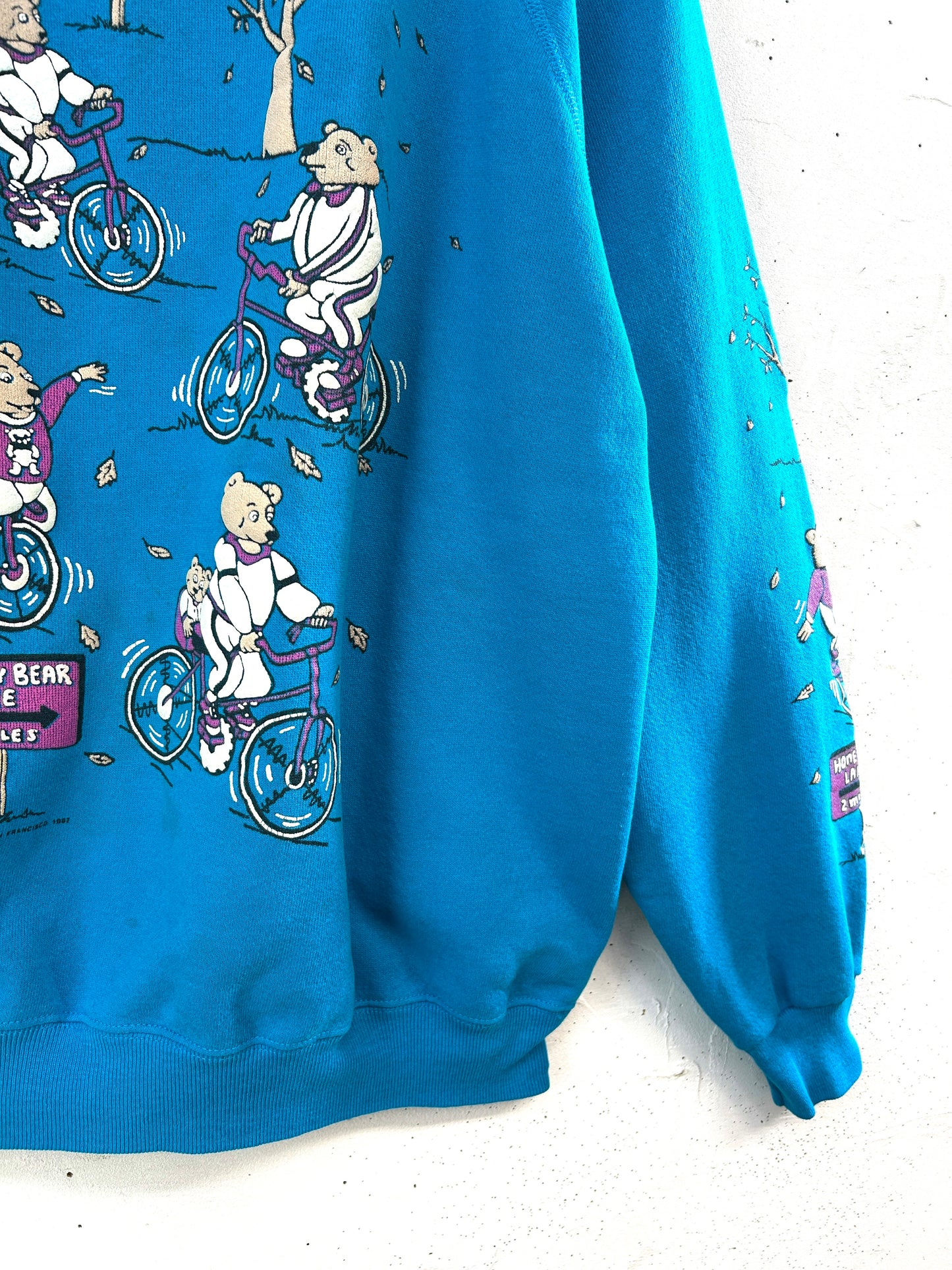 Vintage Sweat ~Hanes~ MADE IN USA  [A31400]