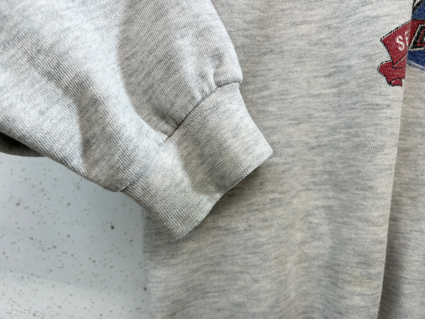 Vintage Sweat 〜Harley-Davidson〜 [C31780]