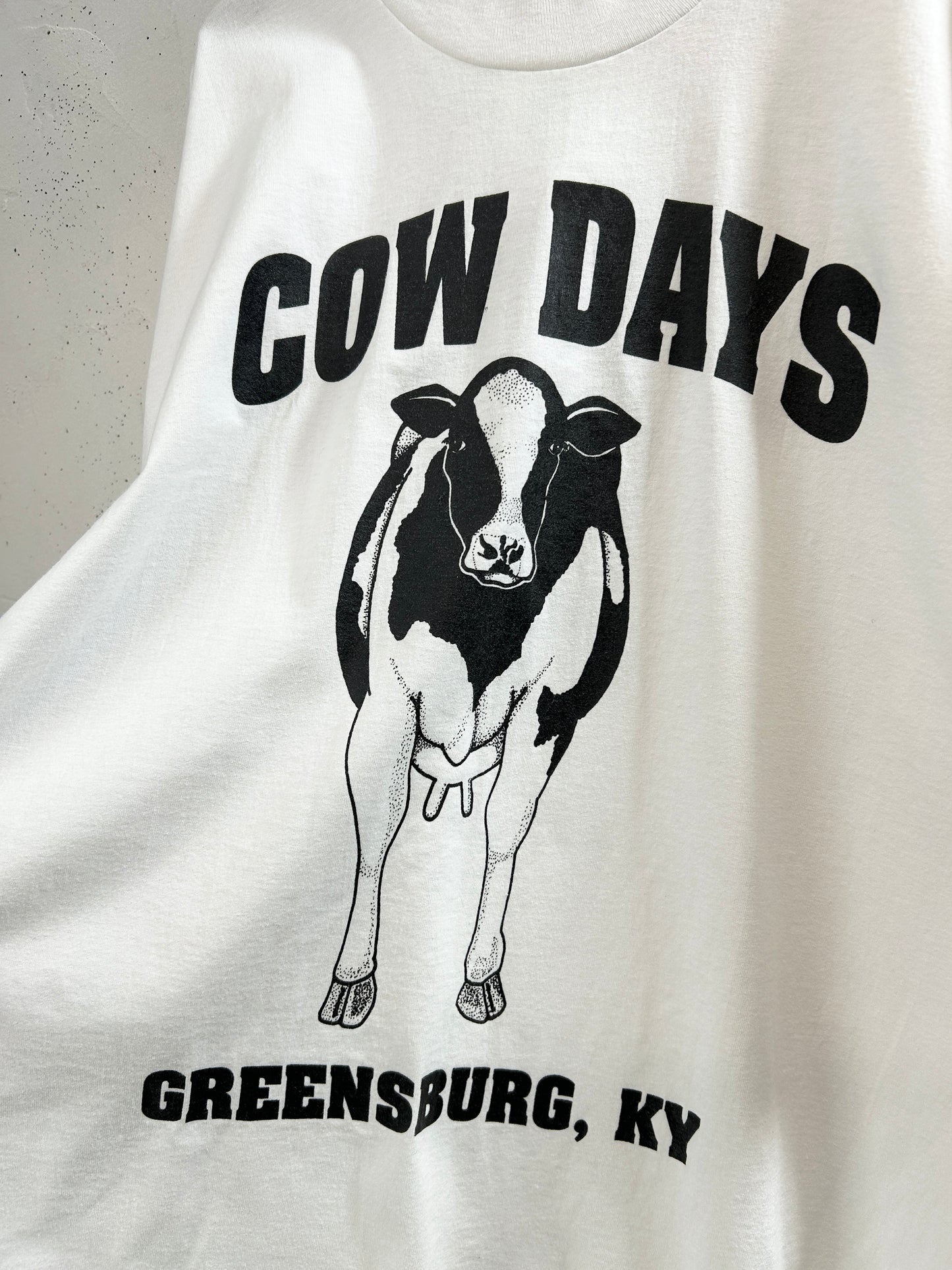 Vintage T-Shirt [H33431]
