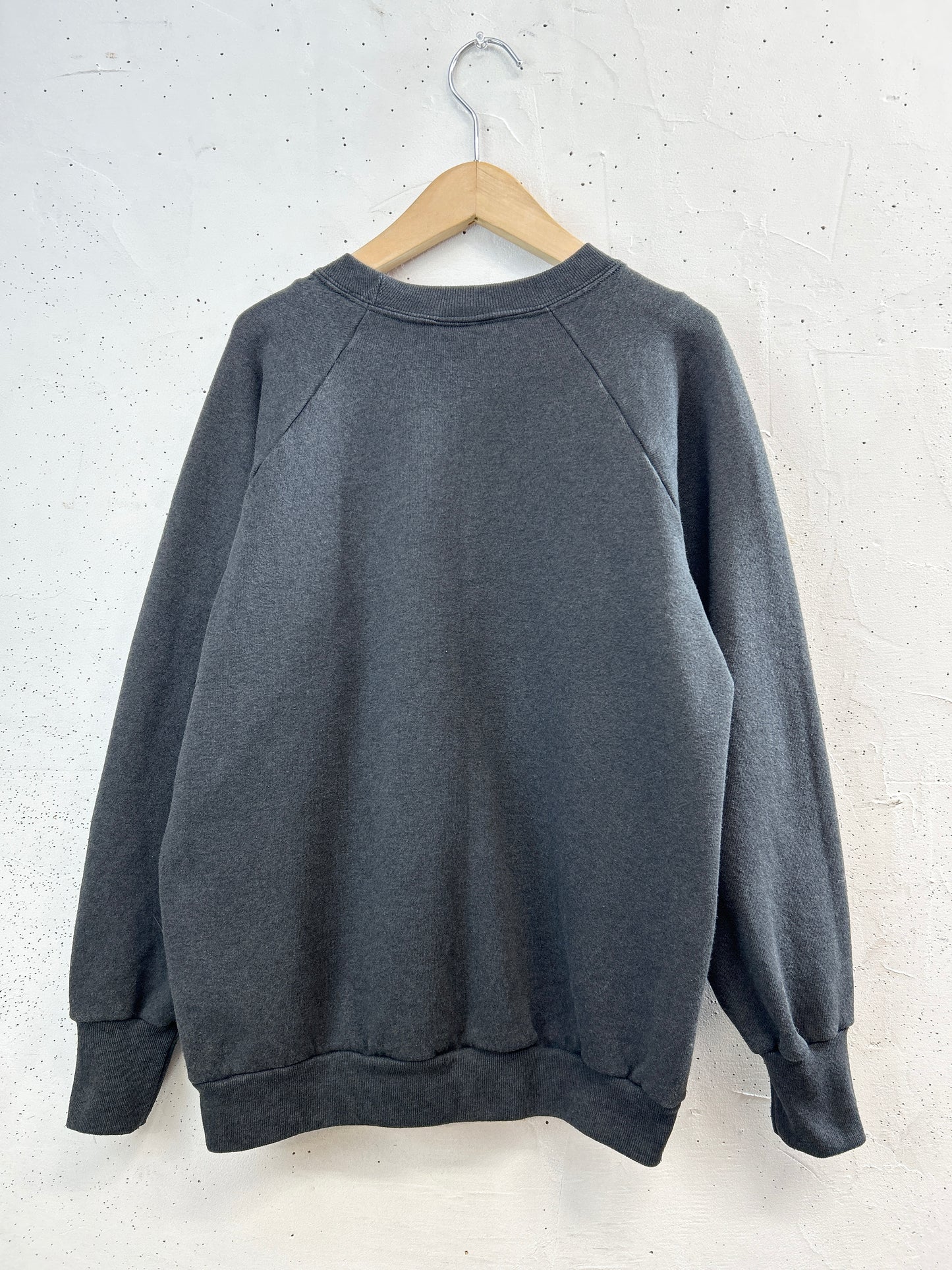 Vintage Sweat 〜3D EMBLEM Harley Davidson〜 [E32444]