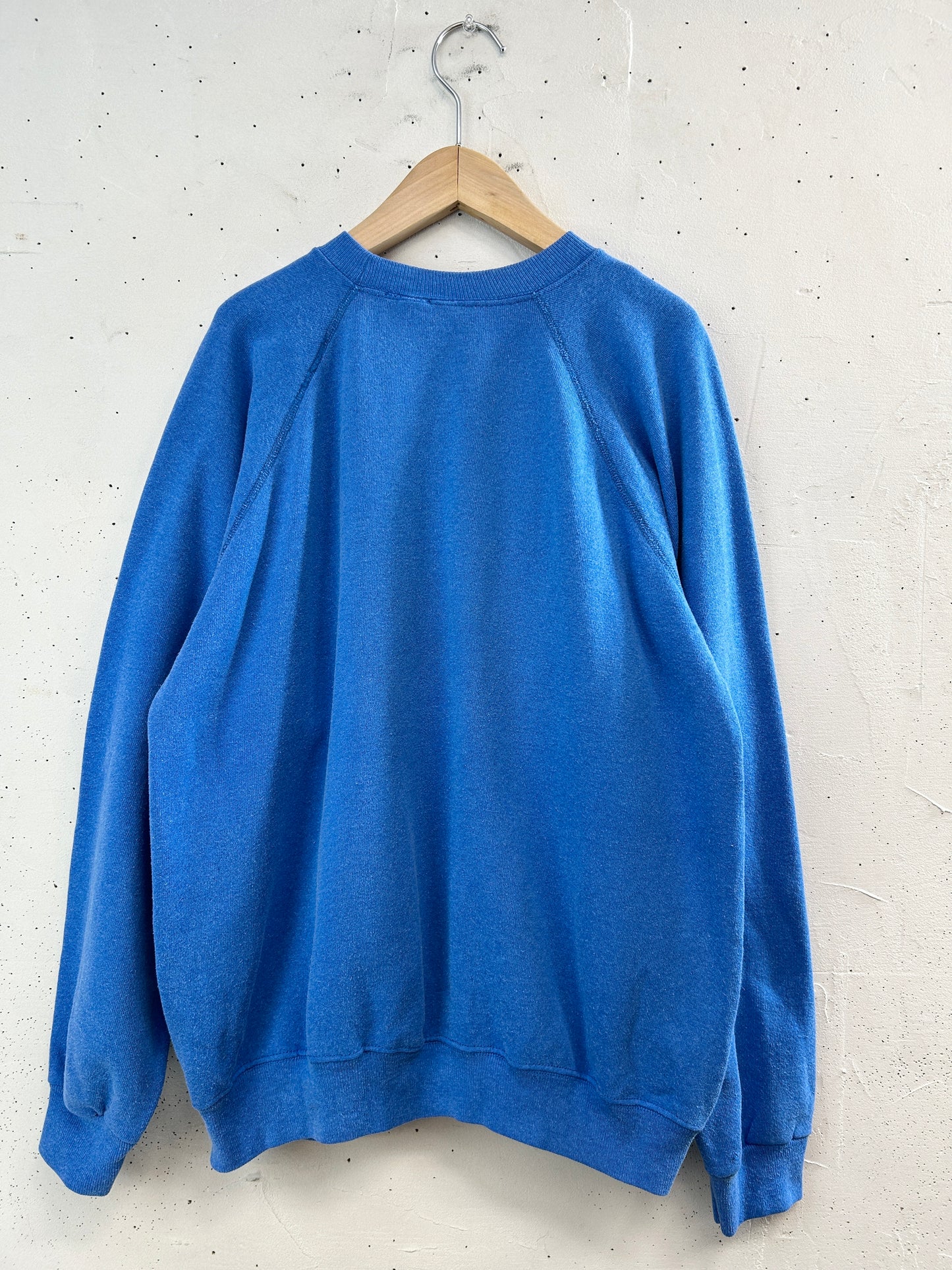 Vintage Sweat 〜MADE IN USA〜 [A31361]