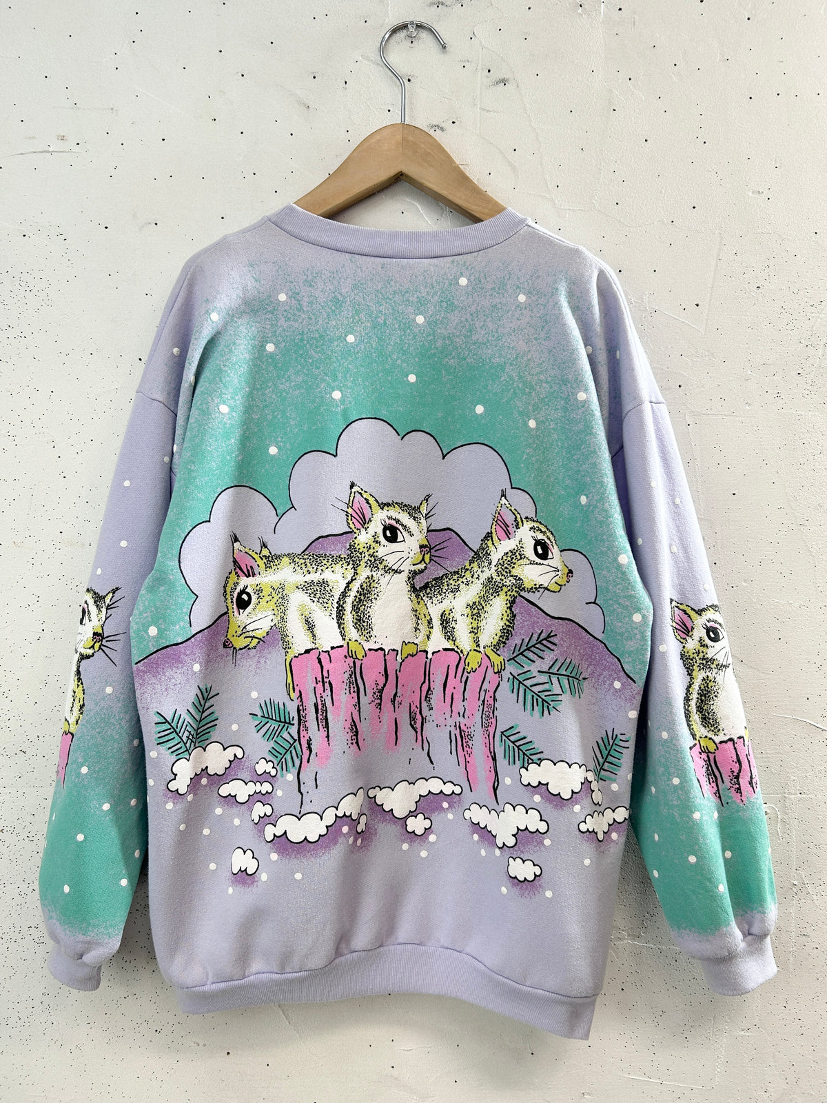 Vintage Sweat 〜MADE IN CANADA〜 [J34177]
