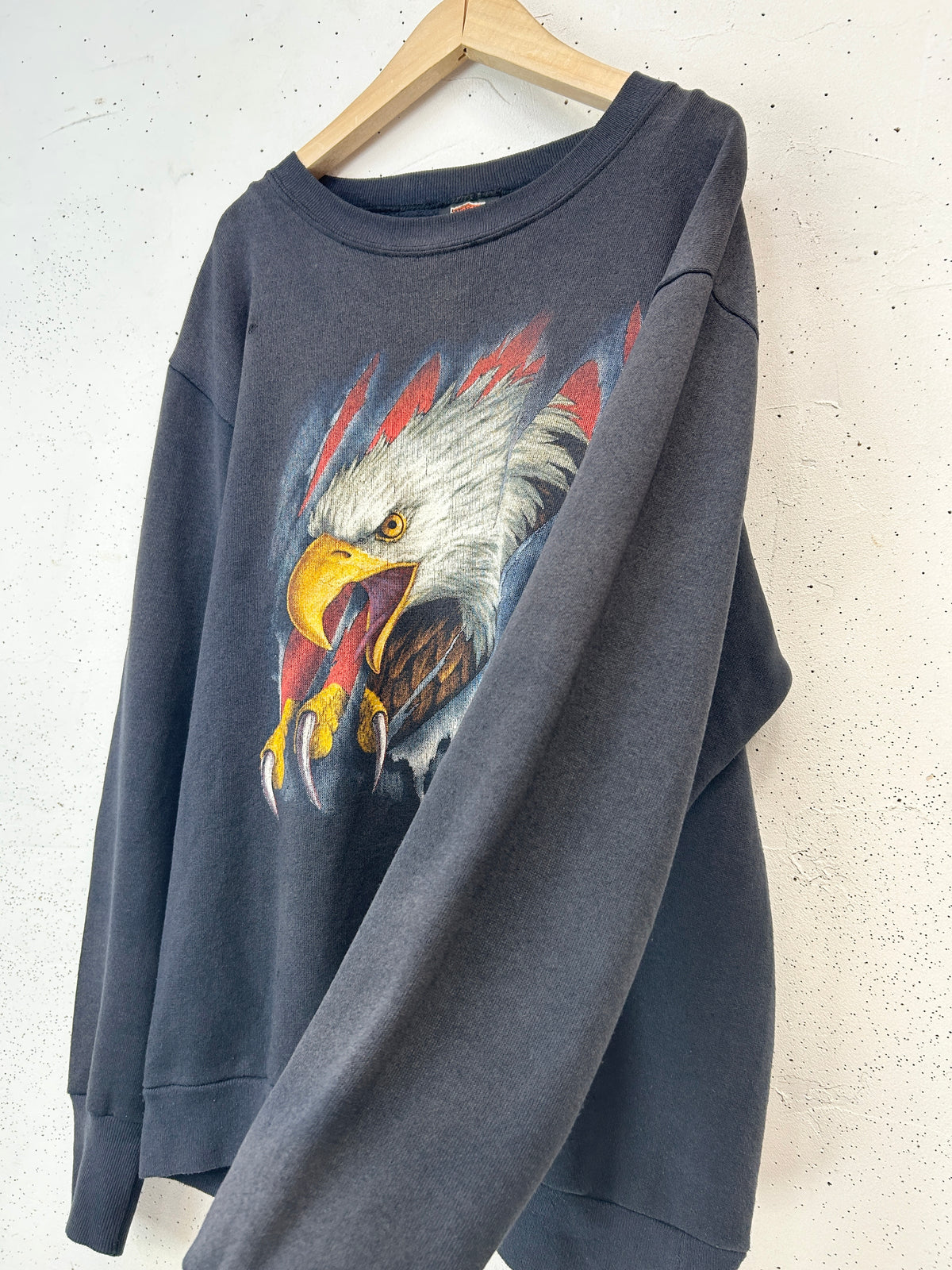 Vintage Sweat 〜3D EMBLEM Harley Davidson〜  [J34087]