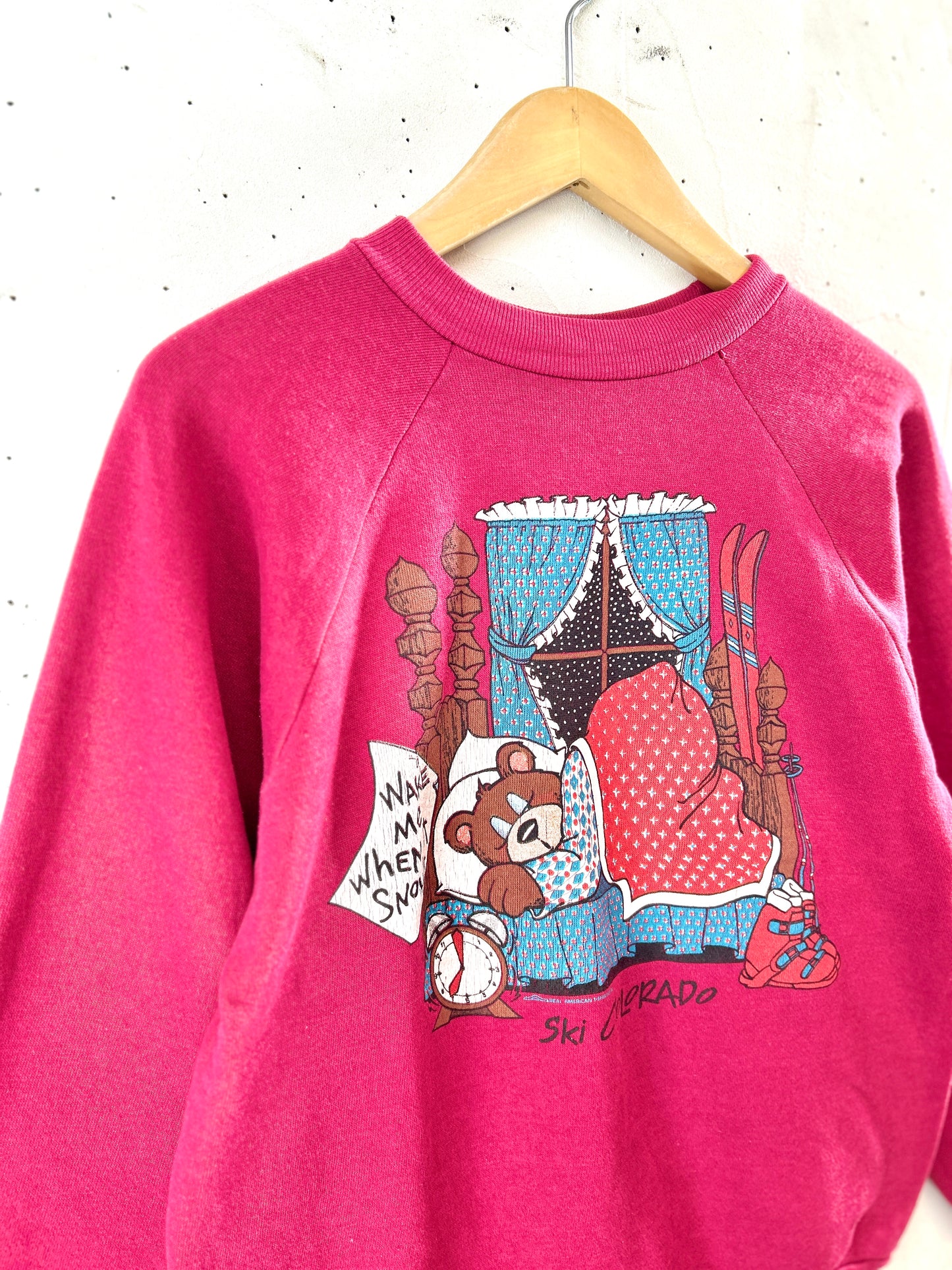 Vintage  Sweat 〜Healthknll〜 MADE IN USA [K30918]