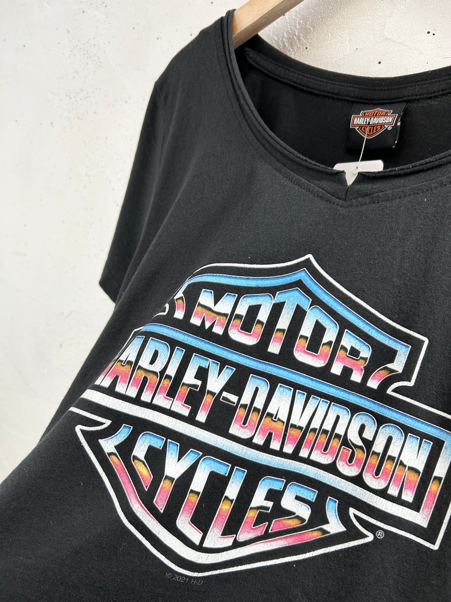 Vintage T-Shirt 〜Harley Davidson〜 [H33372]