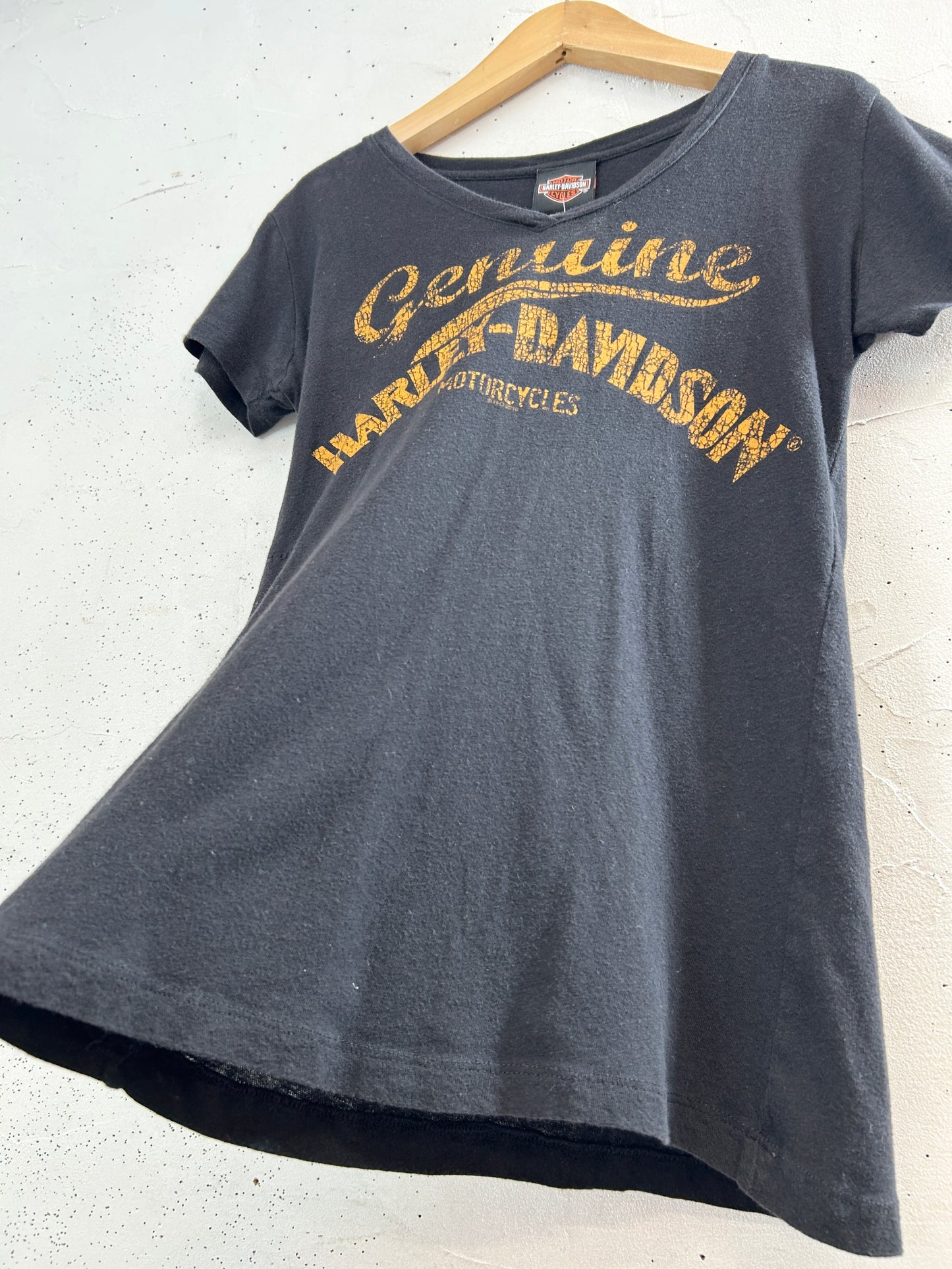 Vintage T-Shirt 〜Harley Davidson〜 [H33519]