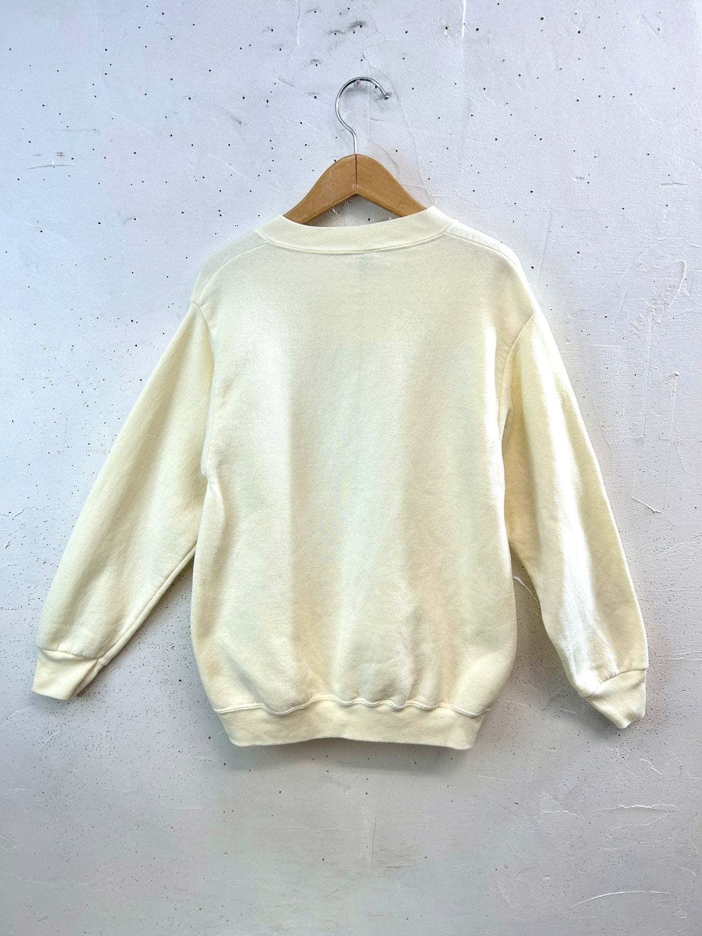 Vintage Sweat Shirt [B31666]
