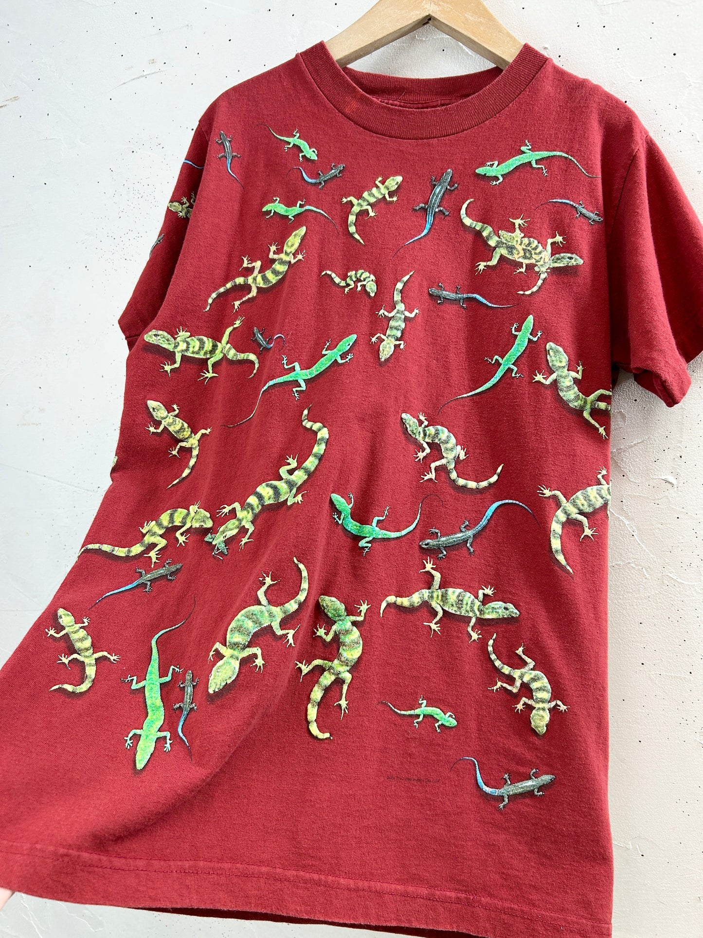 Vintage T-Shirt 〜MADE IN USA〜 [G33162]