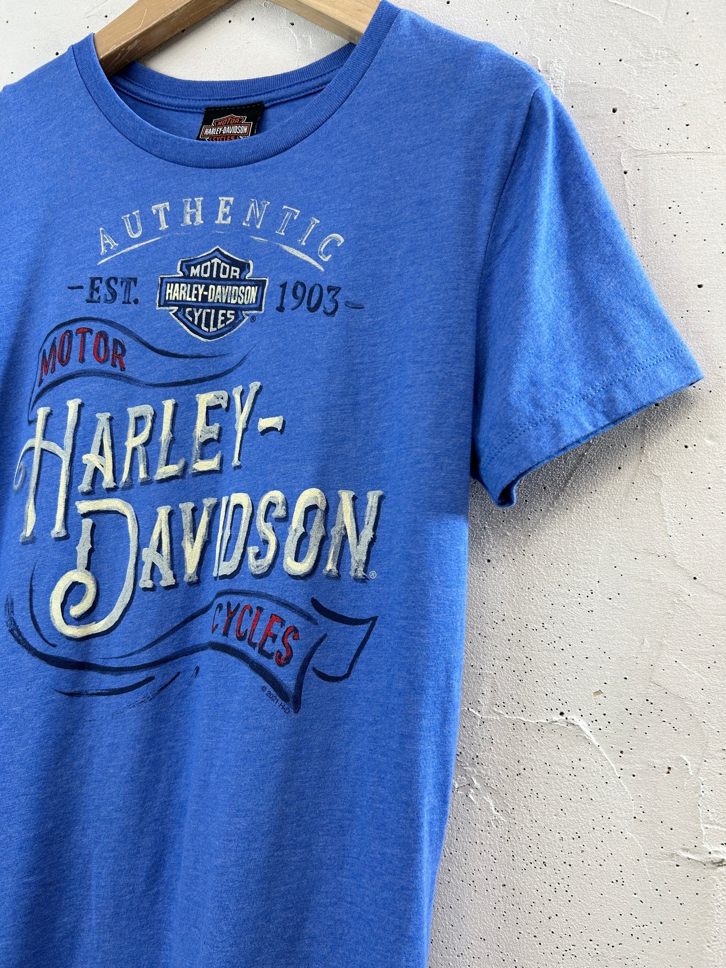 Vintage T-Shirt 〜Harley Davidson〜 [F32589]