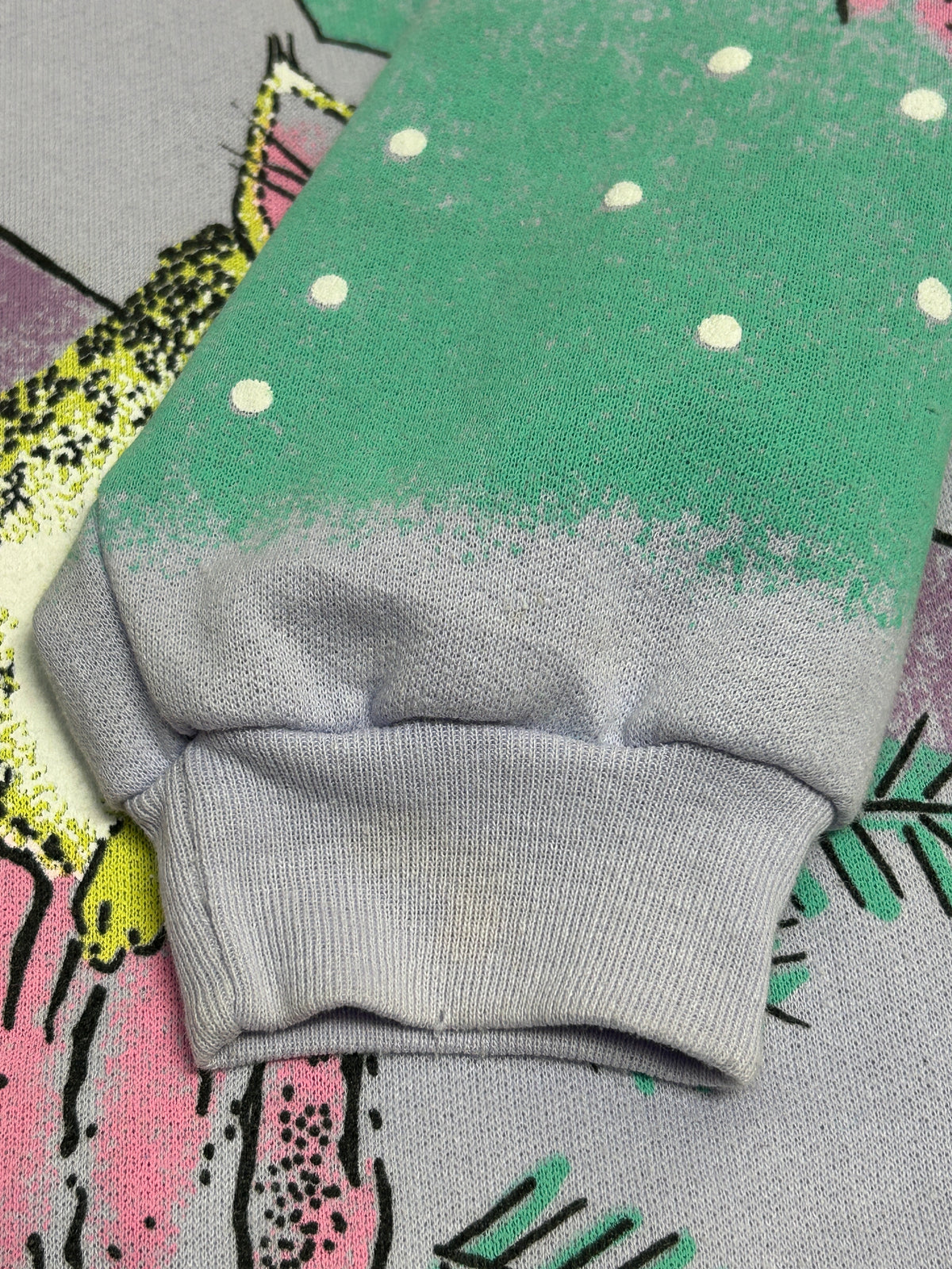 Vintage Sweat 〜MADE IN CANADA〜 [J34177]