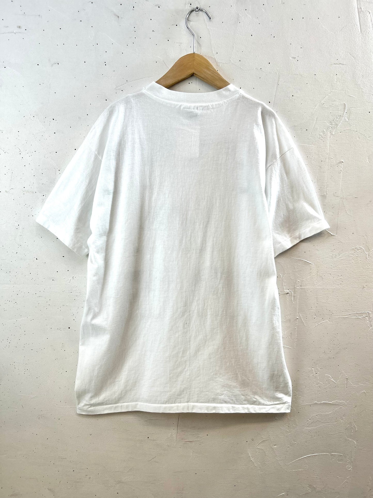 Vintage T-Shirt MADE IN USA 〜Hanes〜 [G30744]