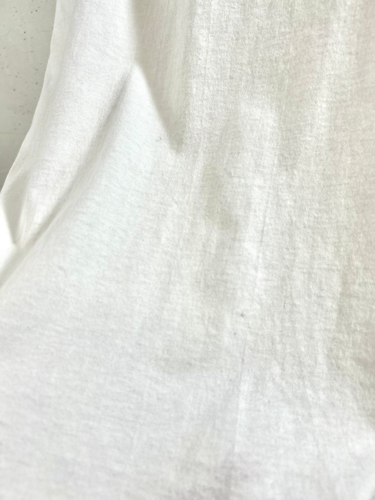 Vintage T-Shirt MADE IN USA 〜Hanes〜 [G30744]