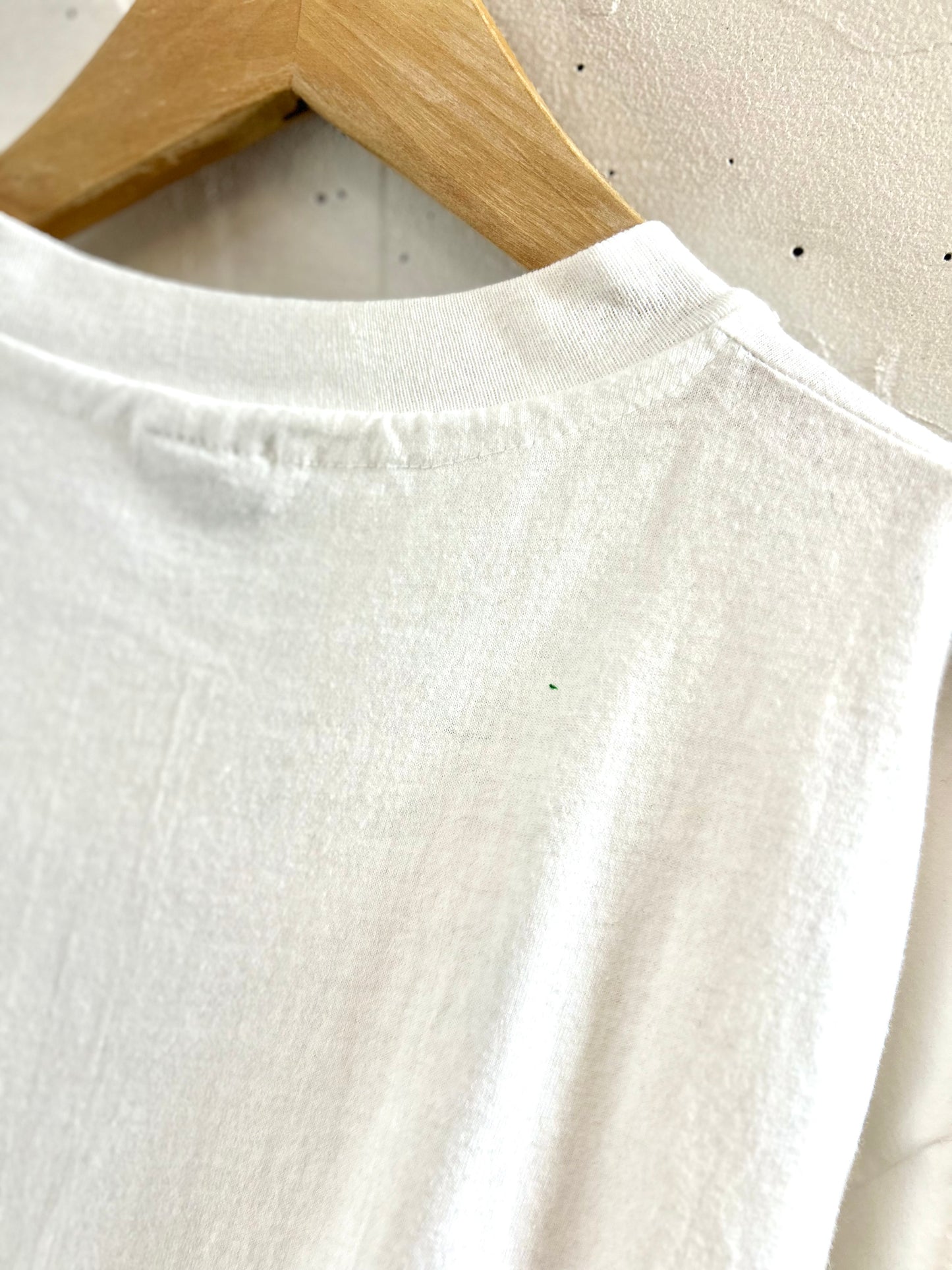 Vintage T-Shirt MADE IN USA 〜Hanes〜 [G30744]