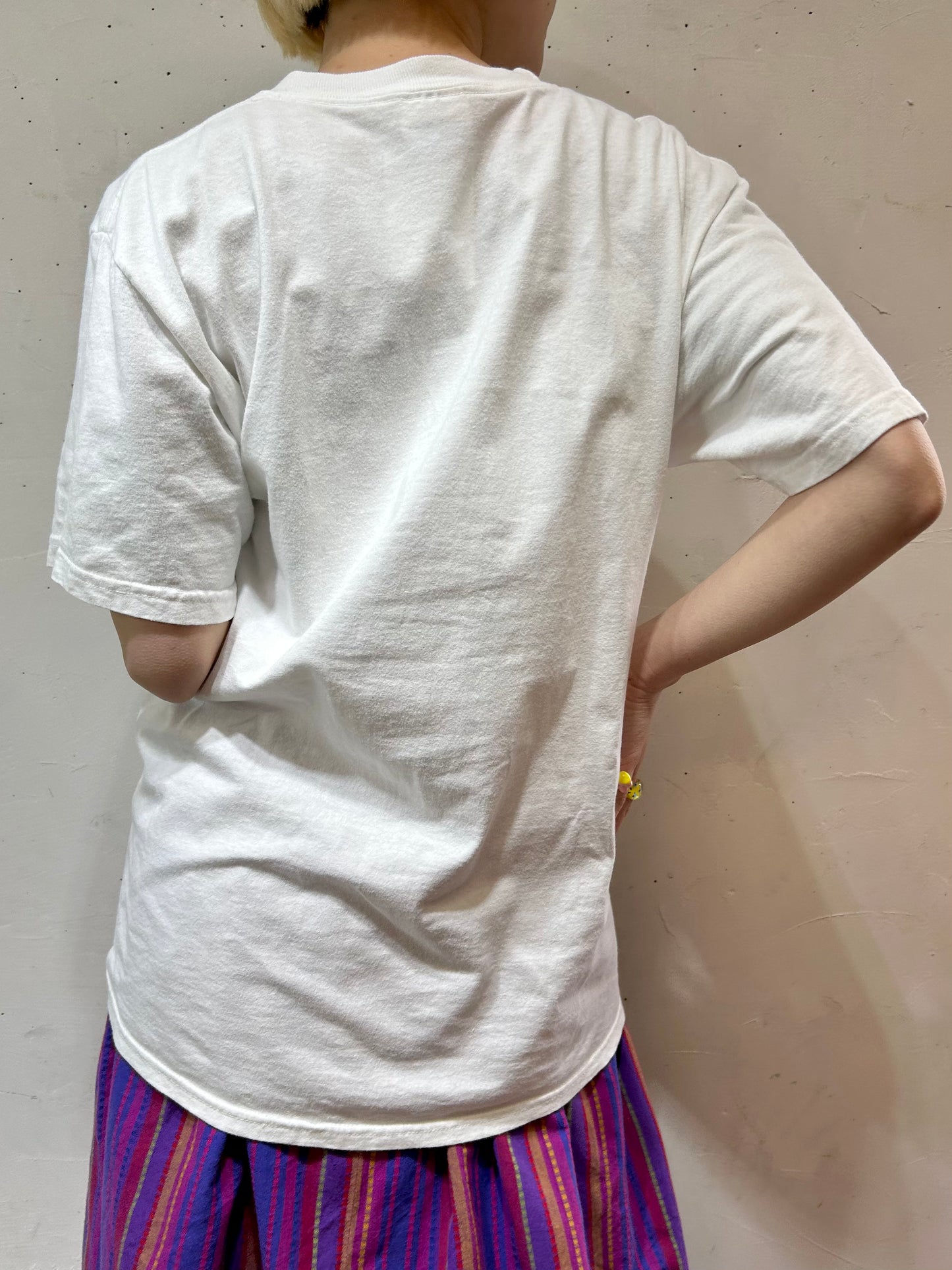 Vintage T-Shirt 〜Hanes〜 [C26637]