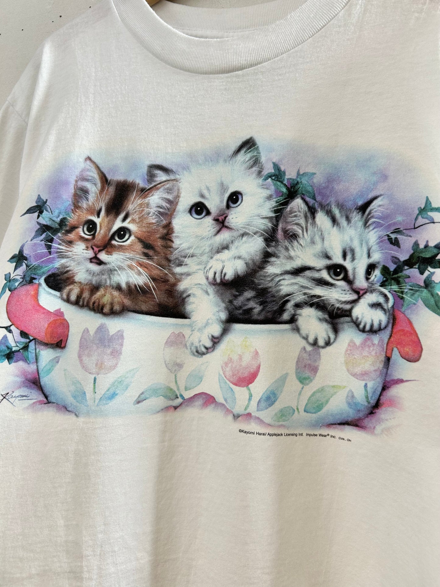 Vintage T-Shirt [D30080]