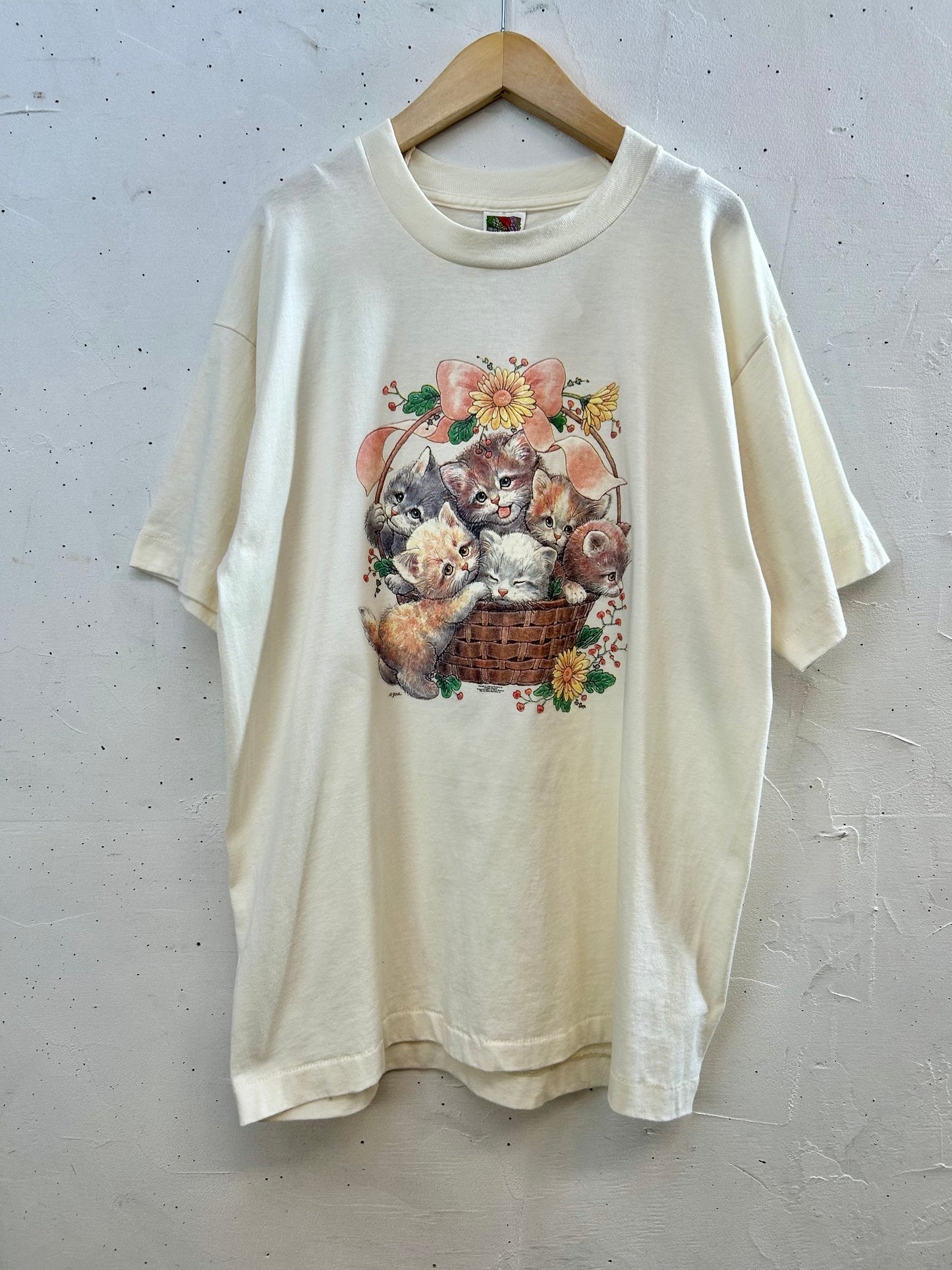 '90s Vintage T-Shirt 〜FLUIT OF THE LOOM〜 [D30081]