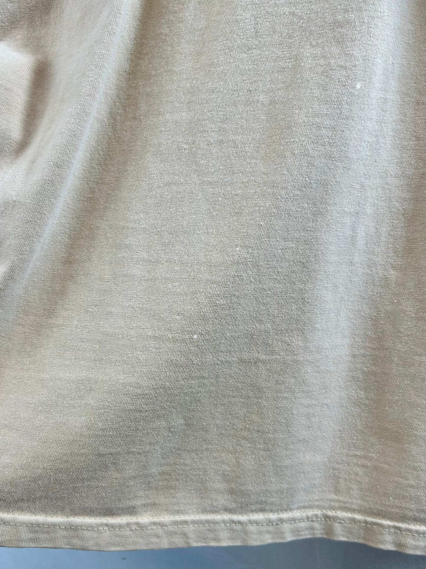 ’90s Vintage T-Shirt 〜Hanes〜 [E30303]