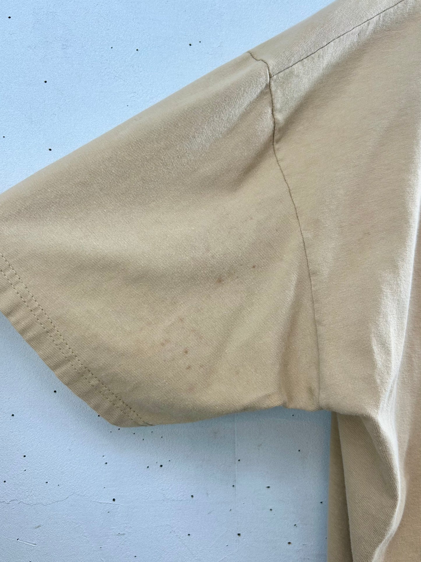’90s Vintage T-Shirt 〜Hanes〜 [E30303]