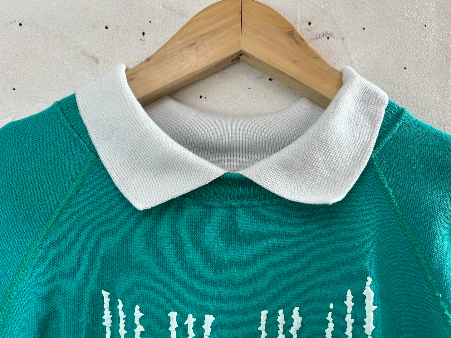 Vintage Sweat MADE IN USA [D29894]