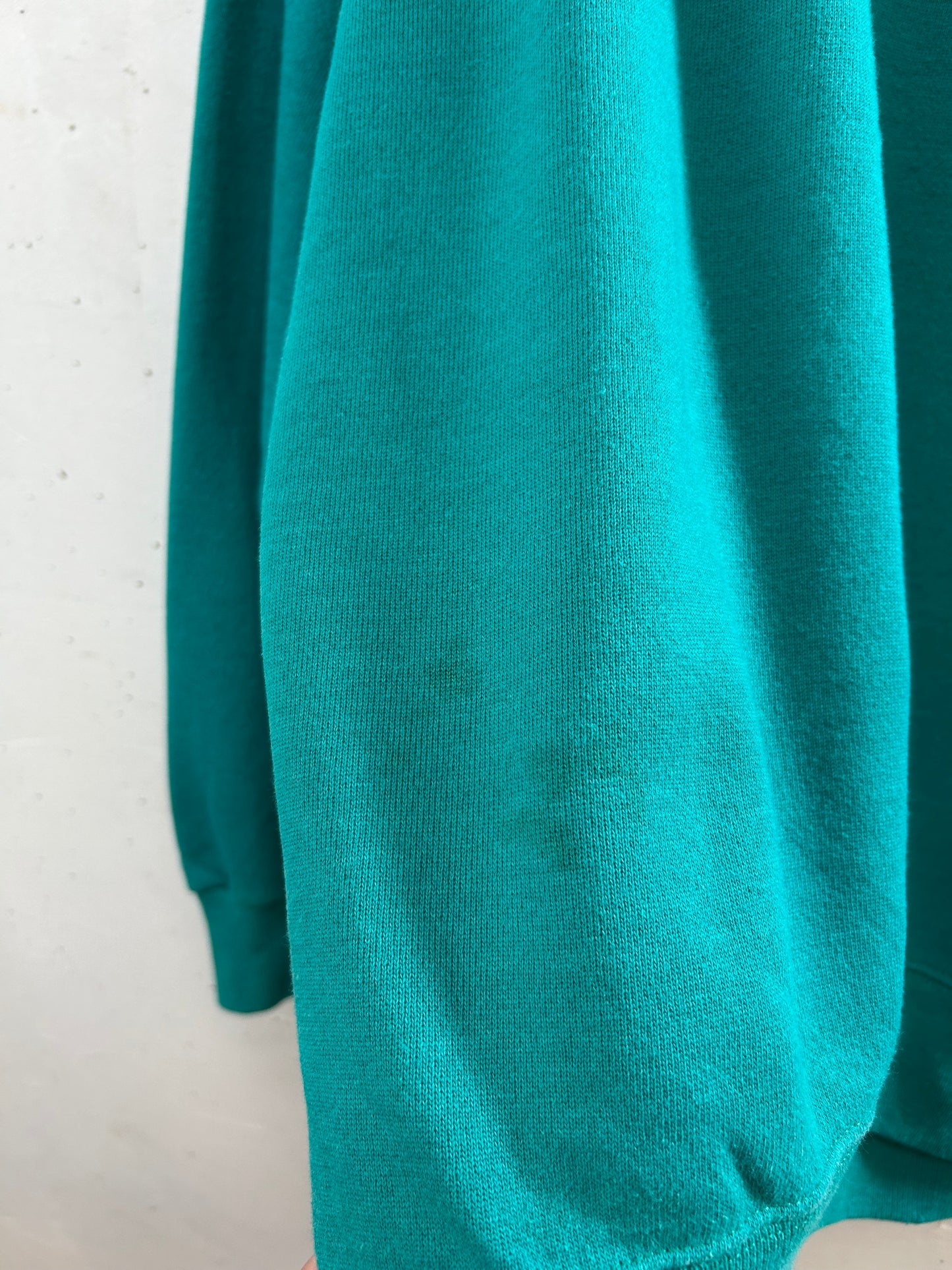 Vintage Sweat MADE IN USA [D29894]