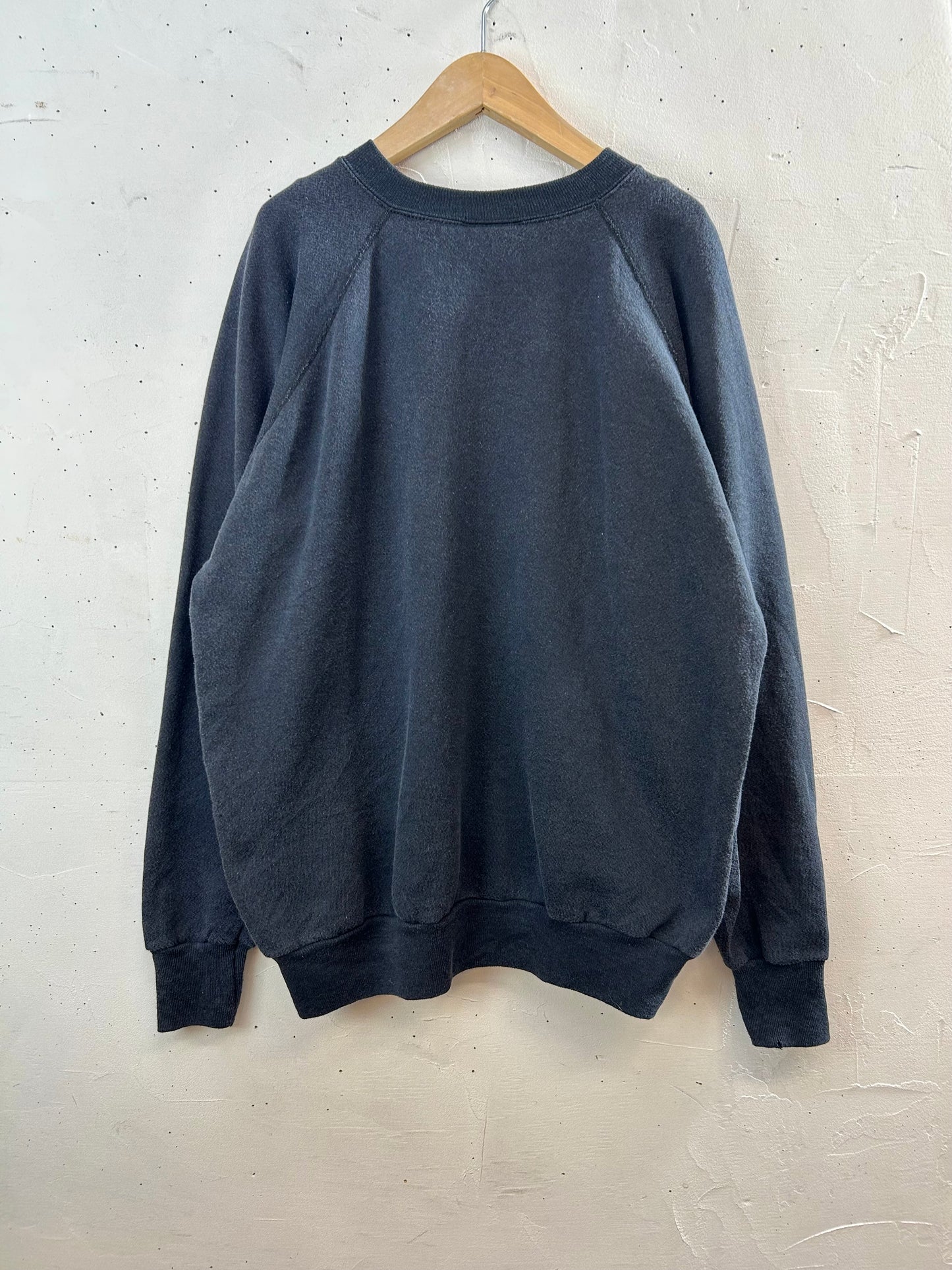Vintage Sweat MADE IN USA [D29893]