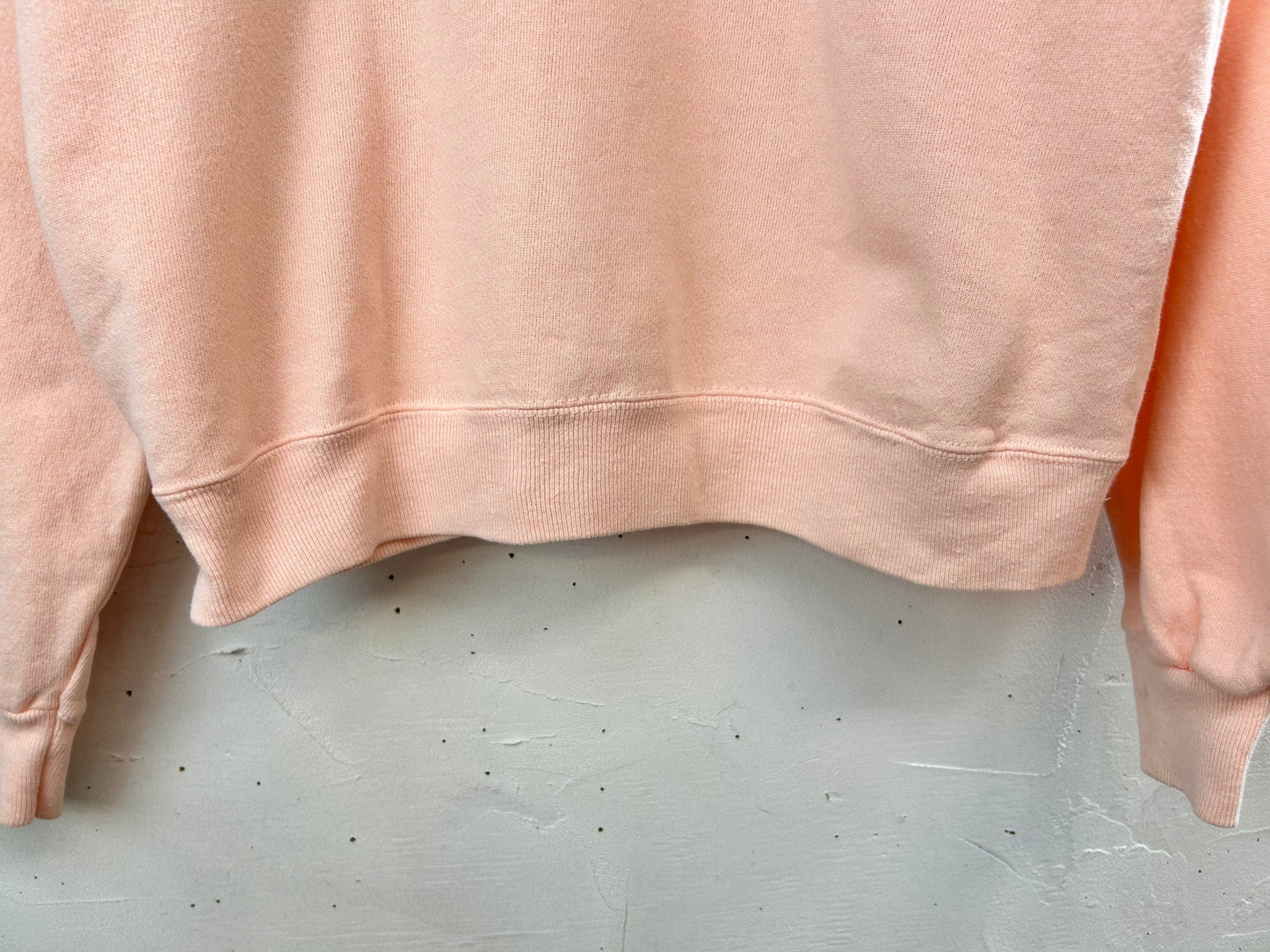 Vintage Sweat MADE IN USA 〜Hanes〜 [D29896]