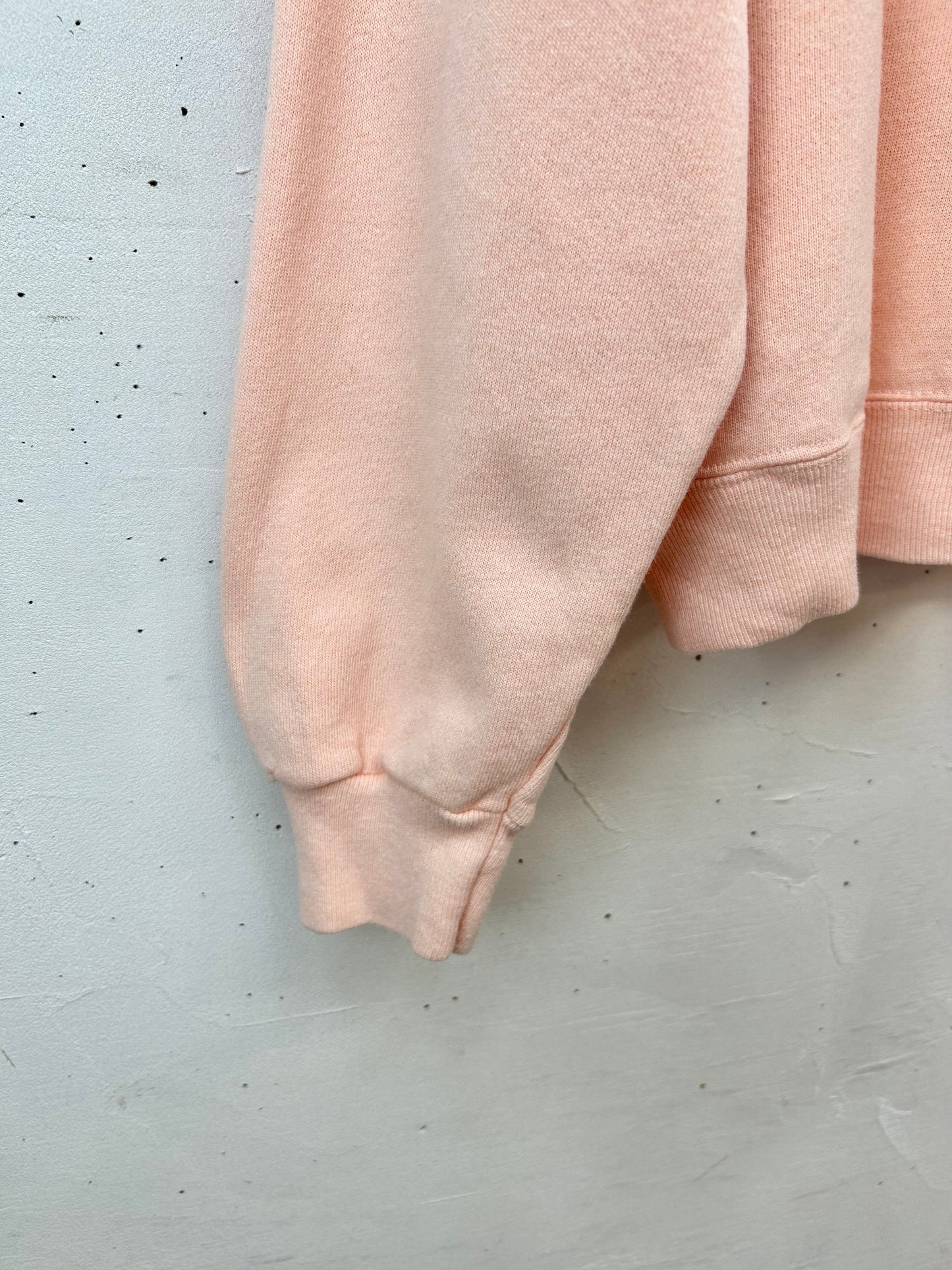 Vintage Sweat MADE IN USA 〜Hanes〜 [D29896]
