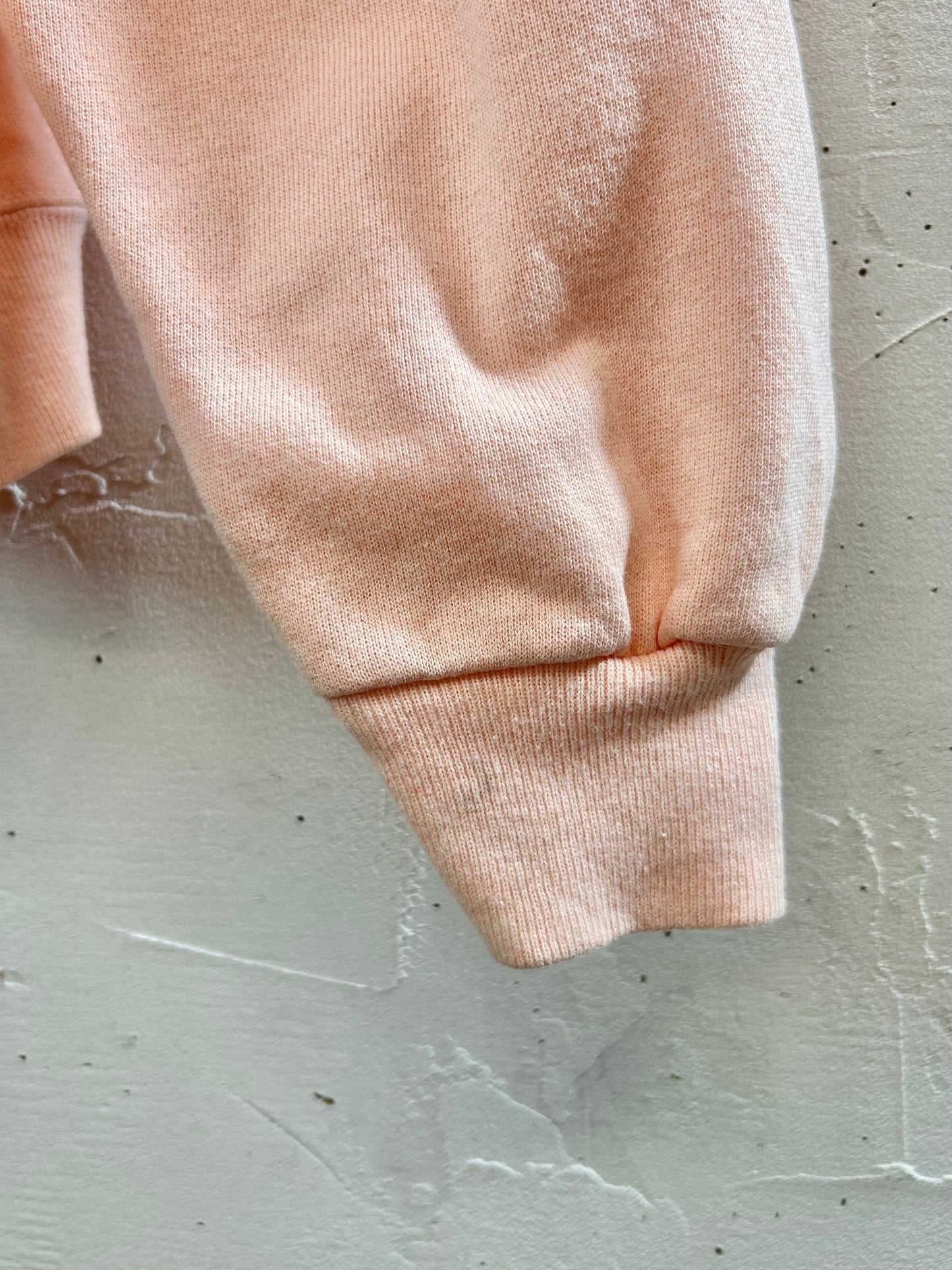Vintage Sweat MADE IN USA 〜Hanes〜 [D29896]