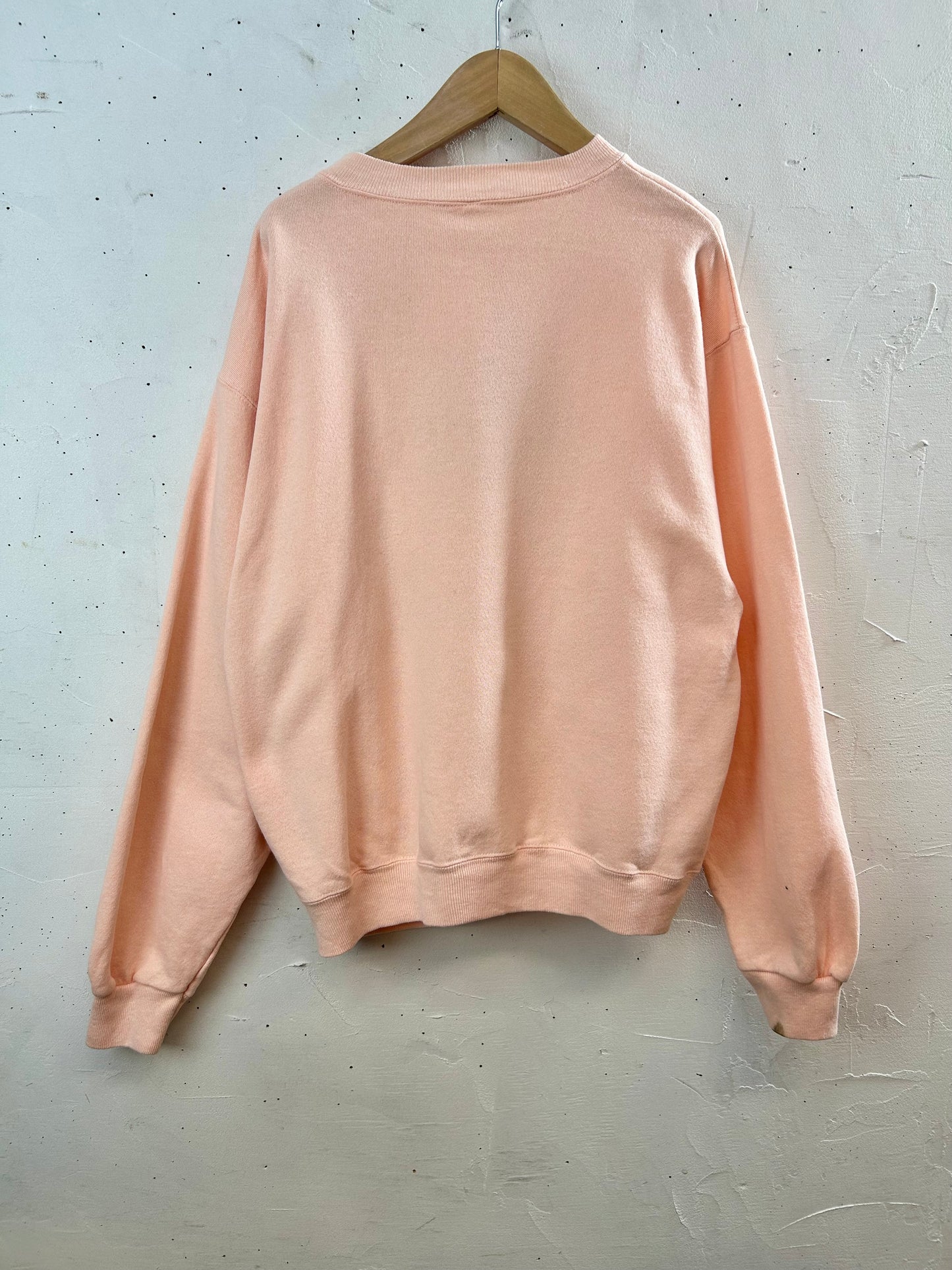 Vintage Sweat MADE IN USA 〜Hanes〜 [D29896]