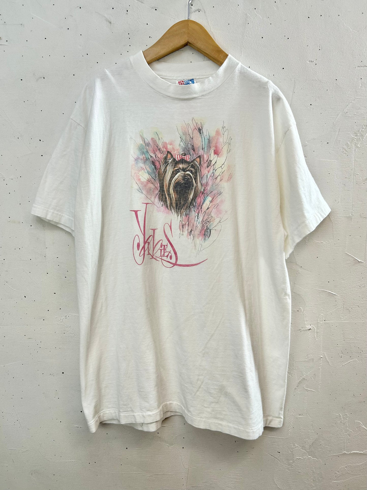 Vintage T-Shirt MADE IN USA 〜Hanes〜 [D29902]