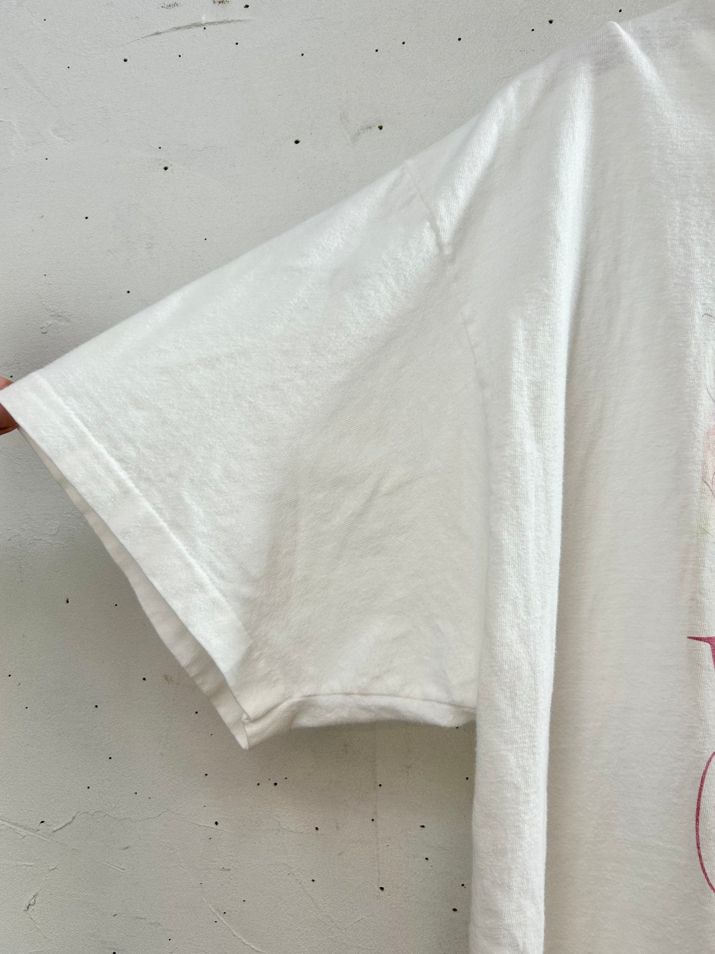 Vintage T-Shirt MADE IN USA 〜Hanes〜 [D29902]