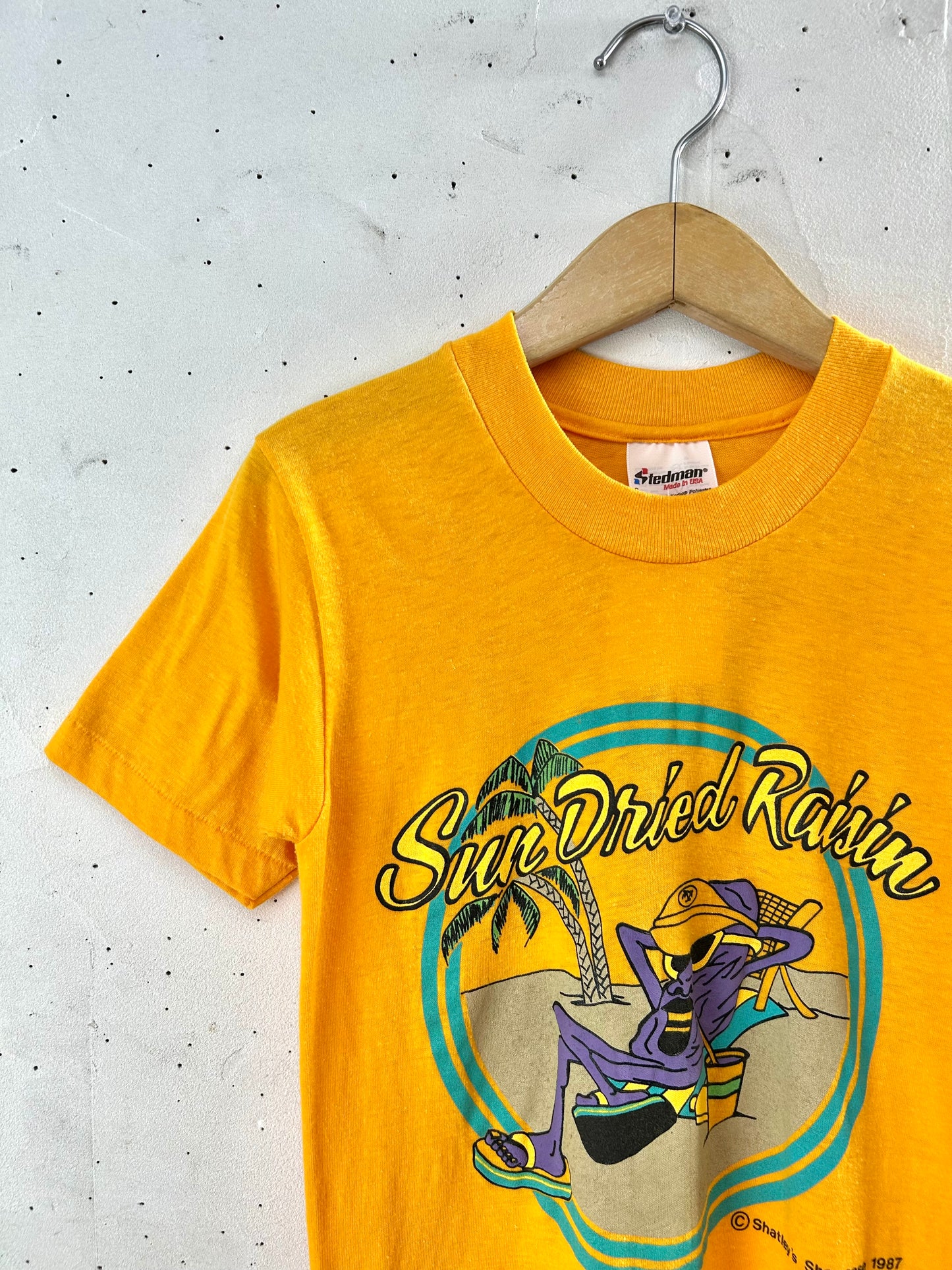 ’80s Vintage T-Shirt MADE IN USA 〜Stedman〜 [D30103]