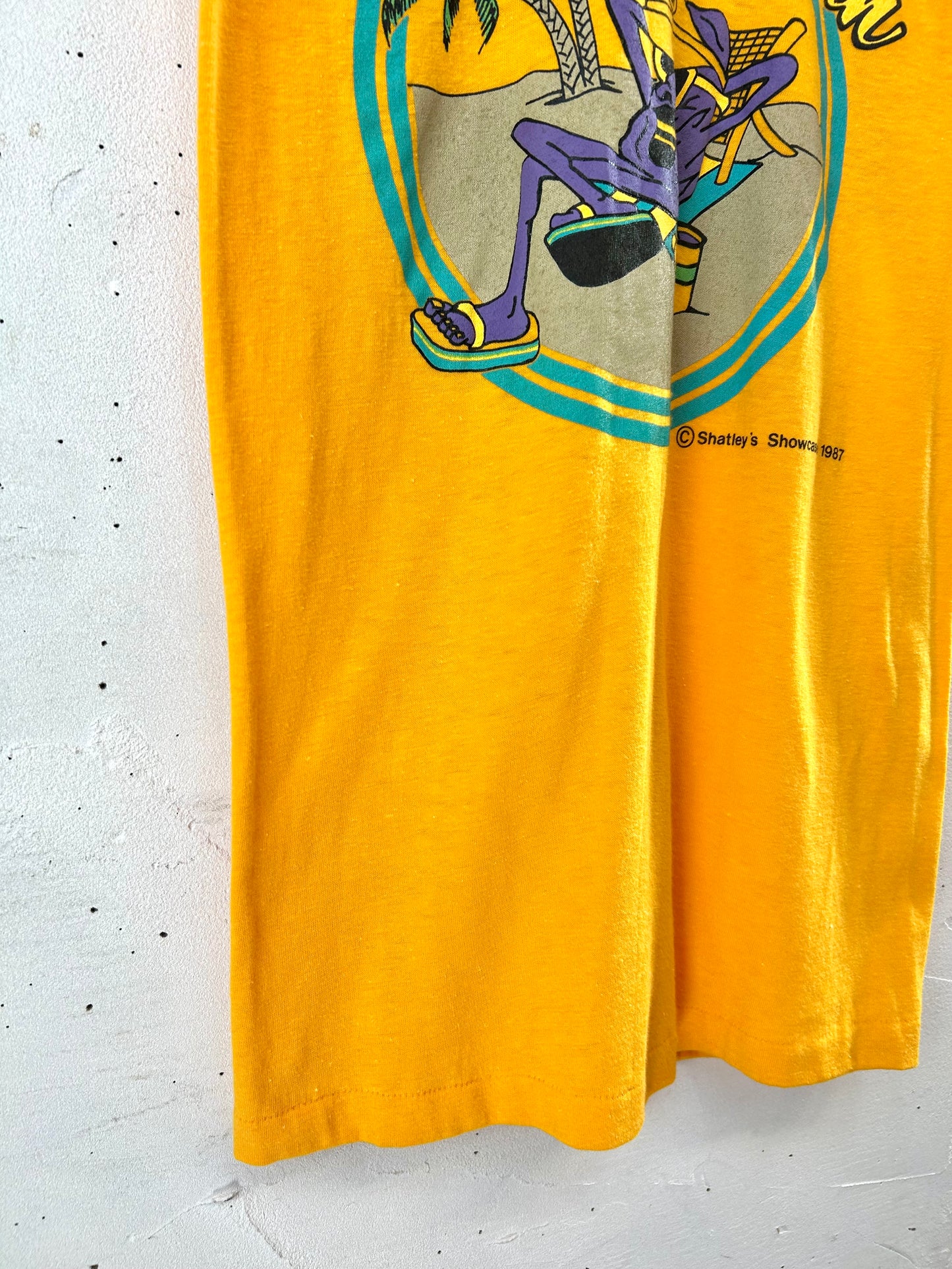 ’80s Vintage T-Shirt MADE IN USA 〜Stedman〜 [D30103]