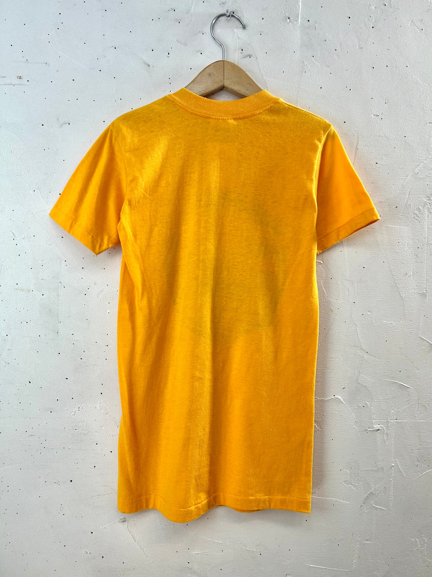 ’80s Vintage T-Shirt MADE IN USA 〜Stedman〜 [D30103]