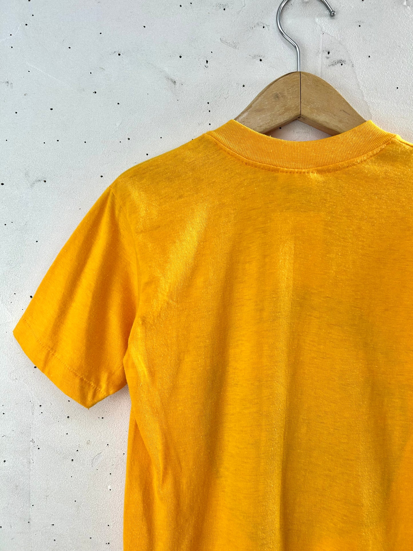 ’80s Vintage T-Shirt MADE IN USA 〜Stedman〜 [D30103]
