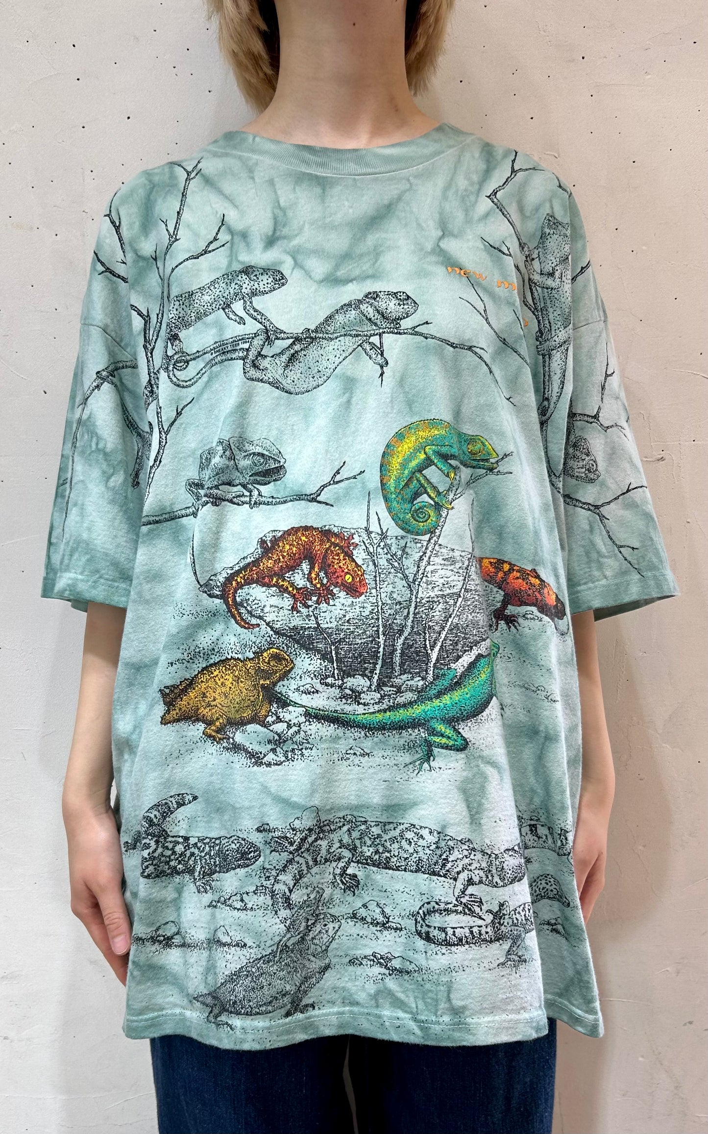 Vintage Full Print T-Shirt 〜GILDAN〜 [D26929]