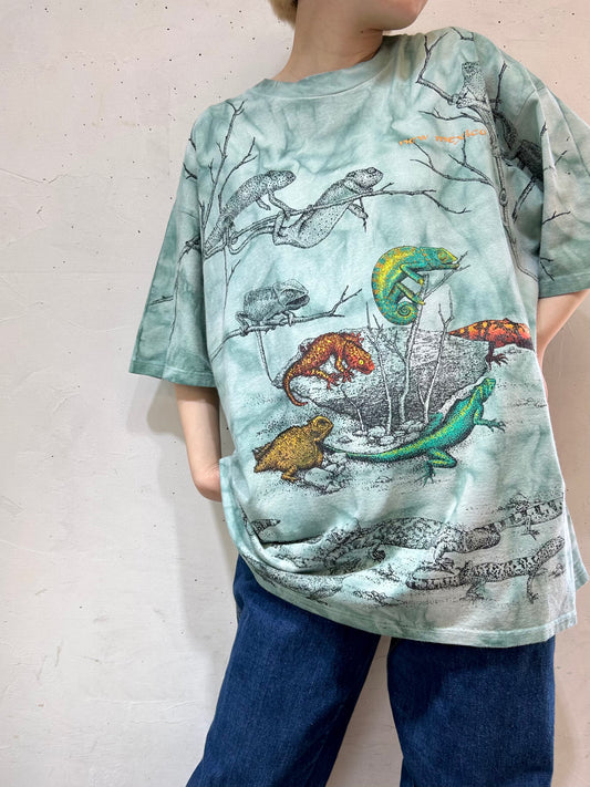 Vintage Full Print T-Shirt 〜GILDAN〜 [D26929]