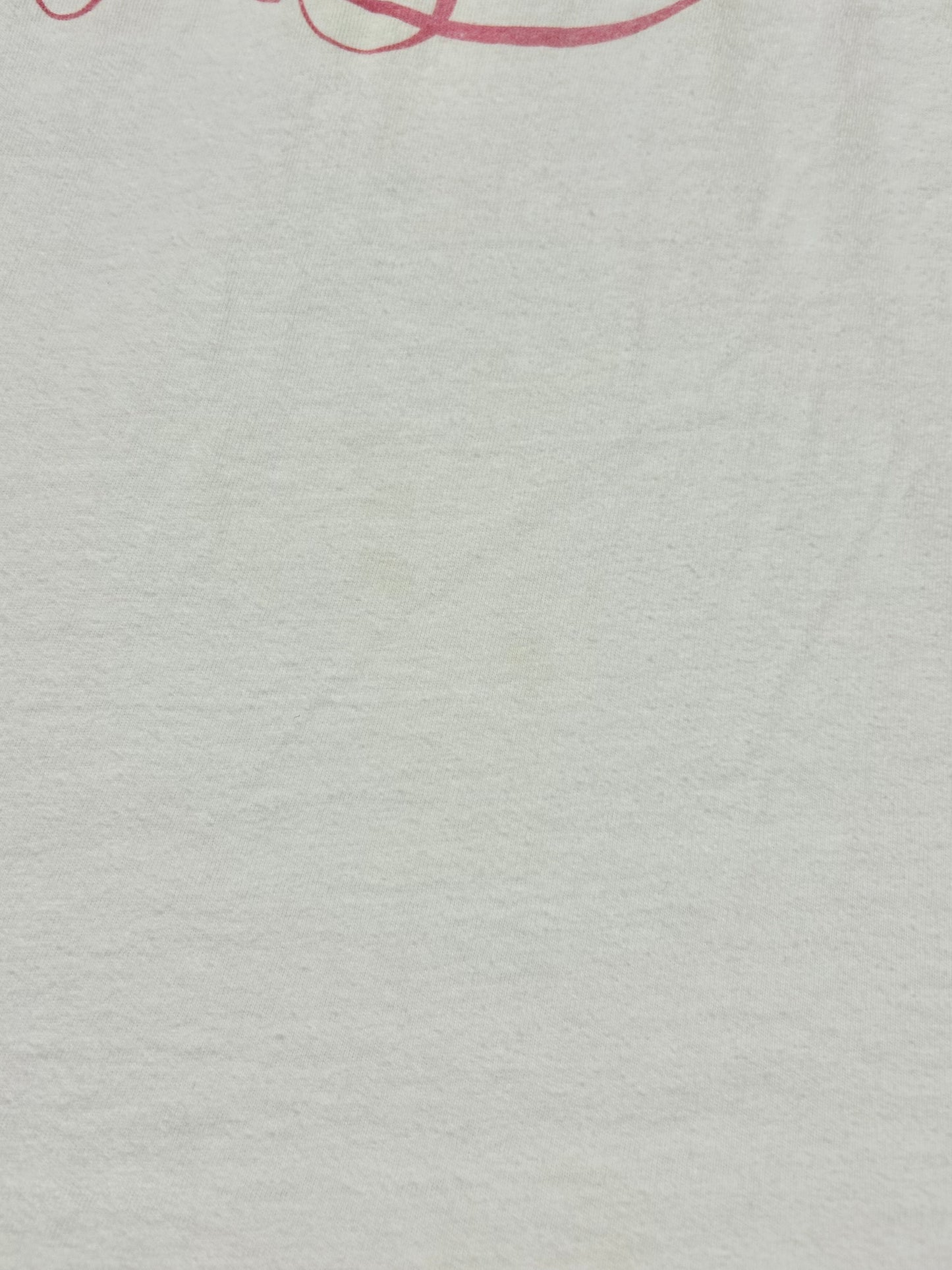 Vintage T-Shirt MADE IN USA 〜Hanes〜 [D29902]