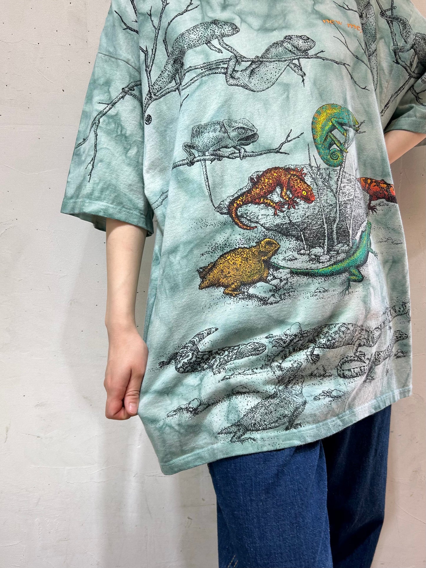 Vintage Full Print T-Shirt 〜GILDAN〜 [D26929]