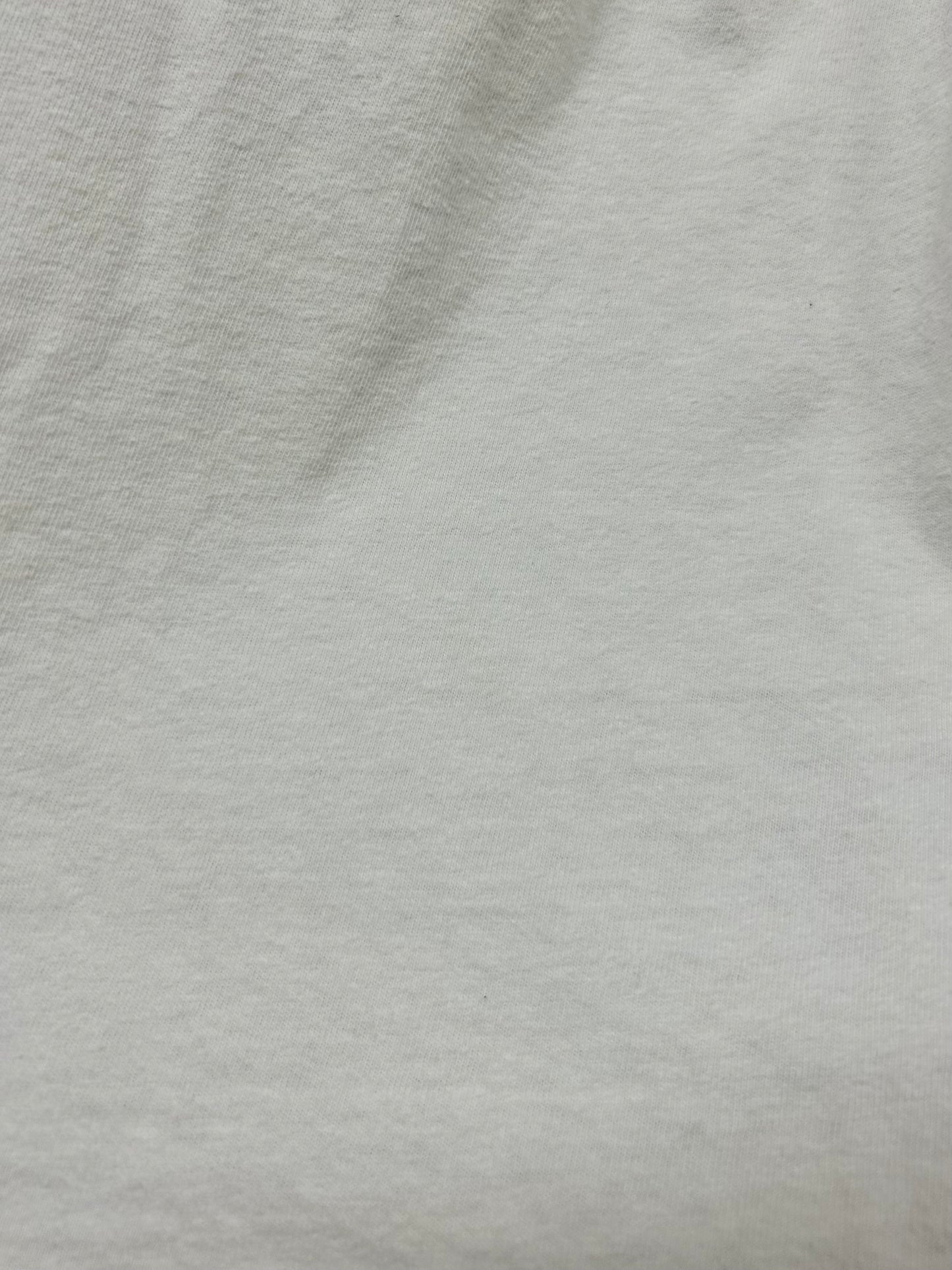 Vintage T-Shirt MADE IN USA 〜Hanes〜 [D29902]