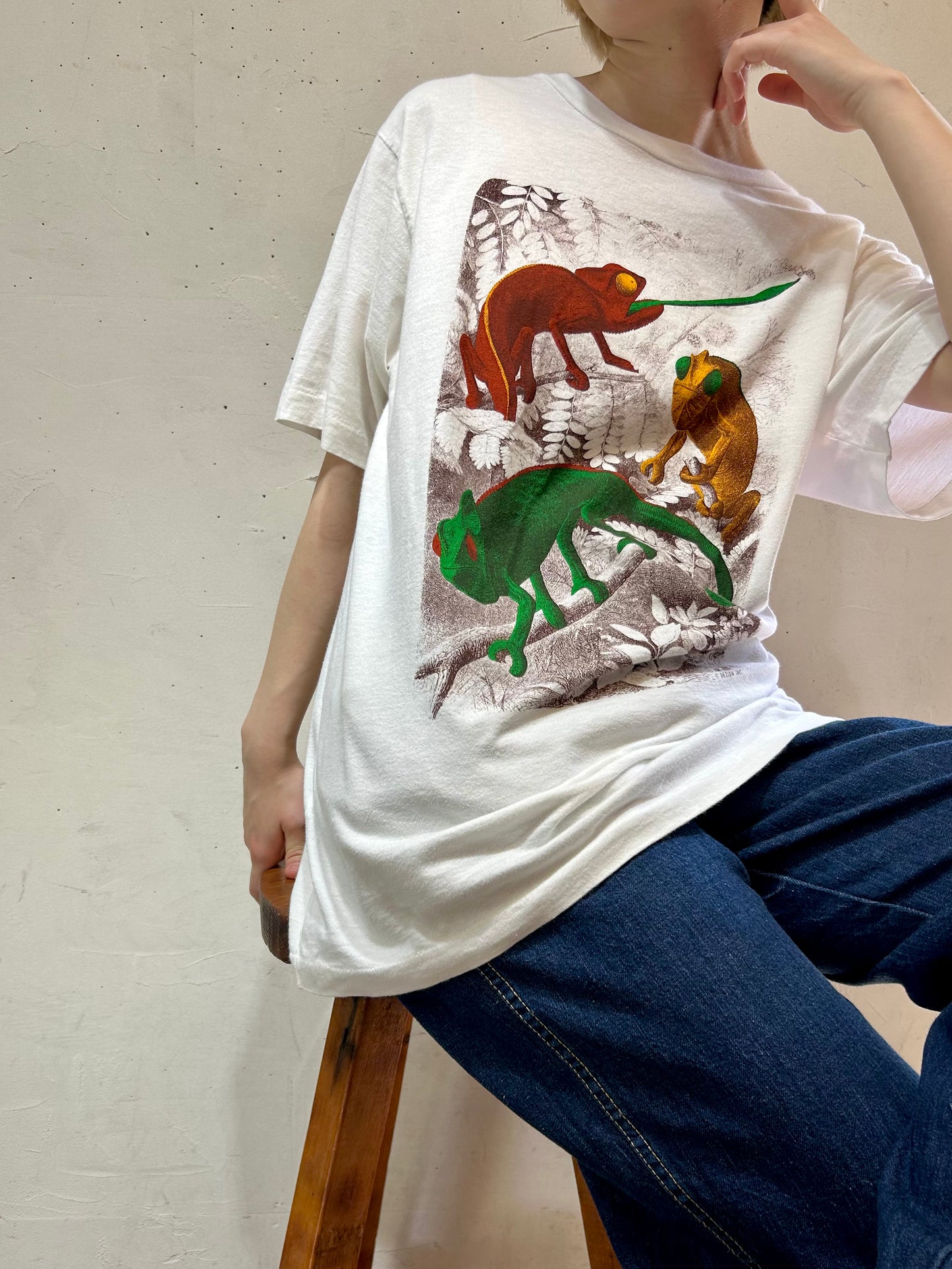 Vintage Chameleon T-Shirt [D26928]