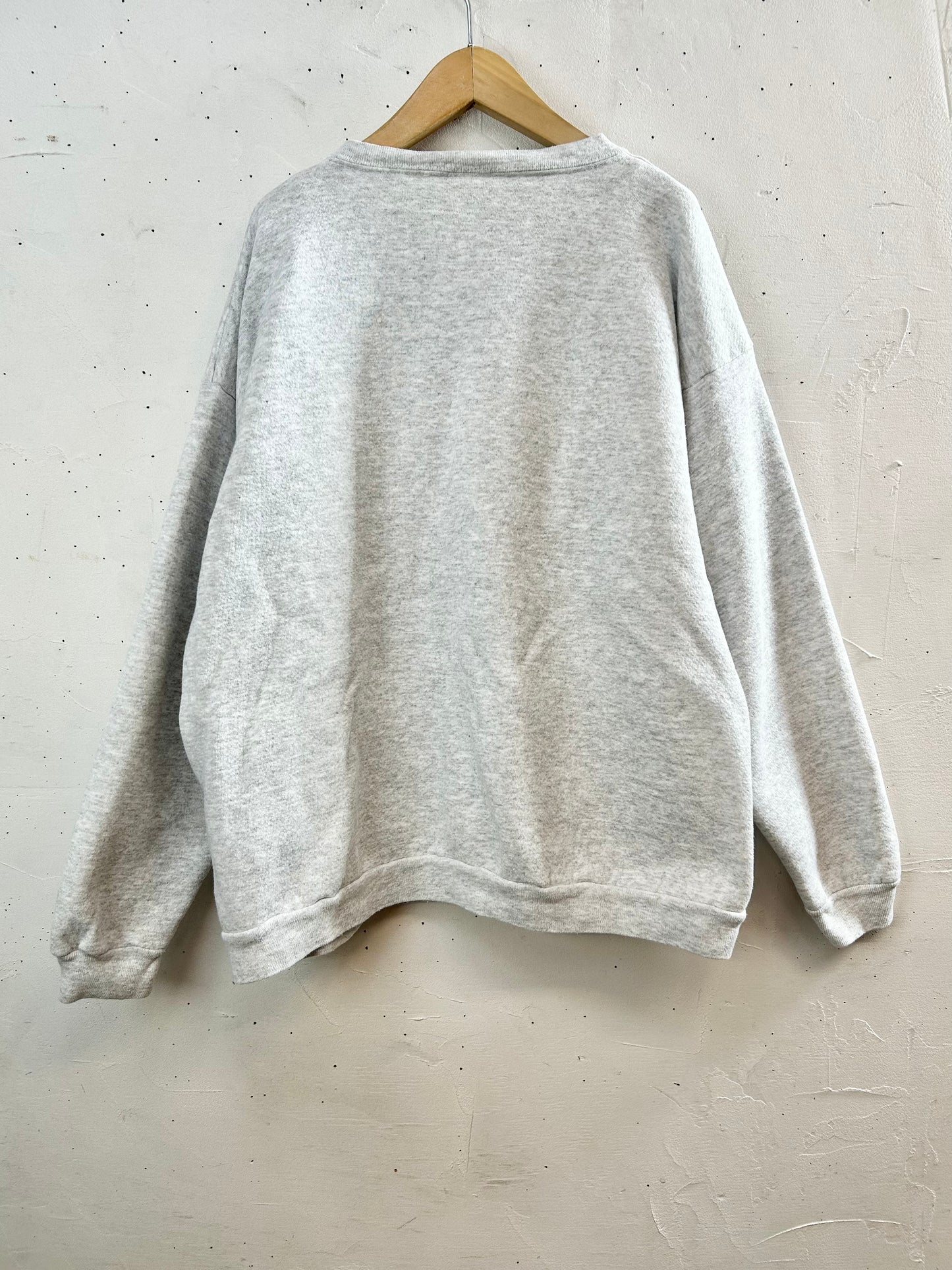 '90s Vintage Sweat 〜Tultex〜 [C29685]