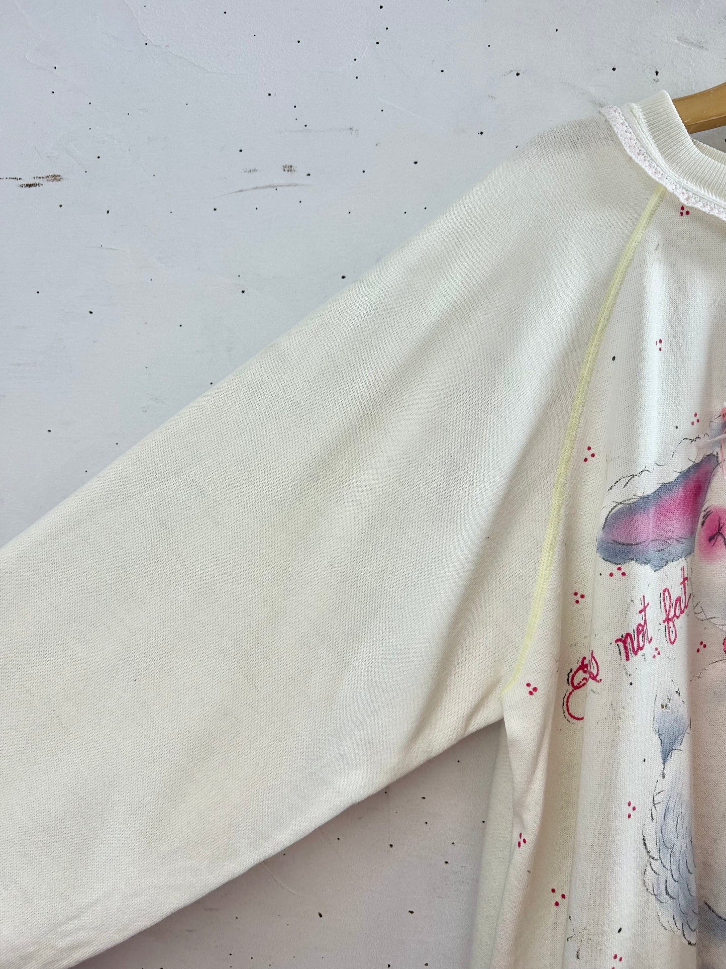 ’80s Vintage Hand Painted Sweat MADE IN USA 〜Hanes〜 [A29431]