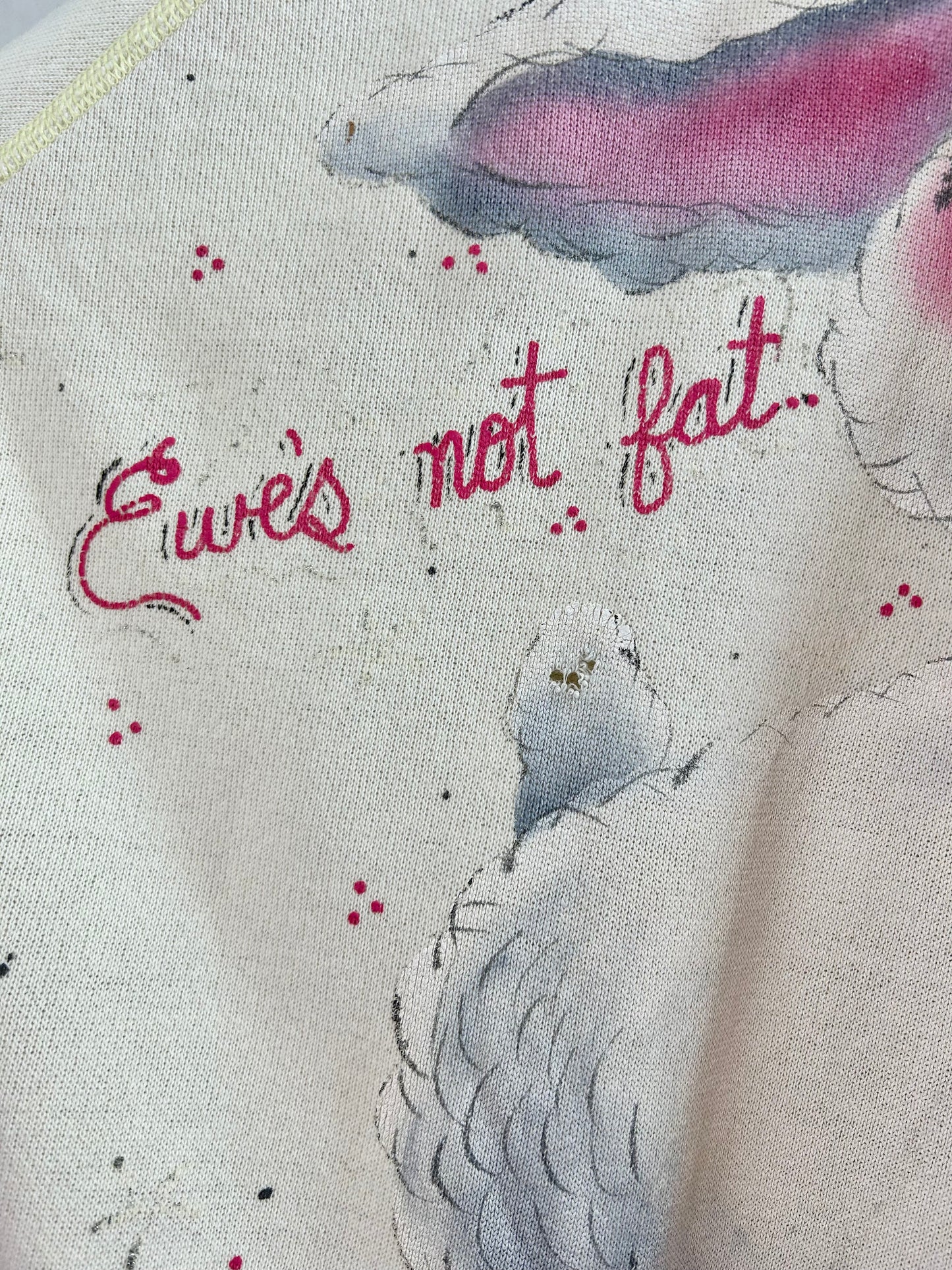 ’80s Vintage Hand Painted Sweat MADE IN USA 〜Hanes〜 [A29431]