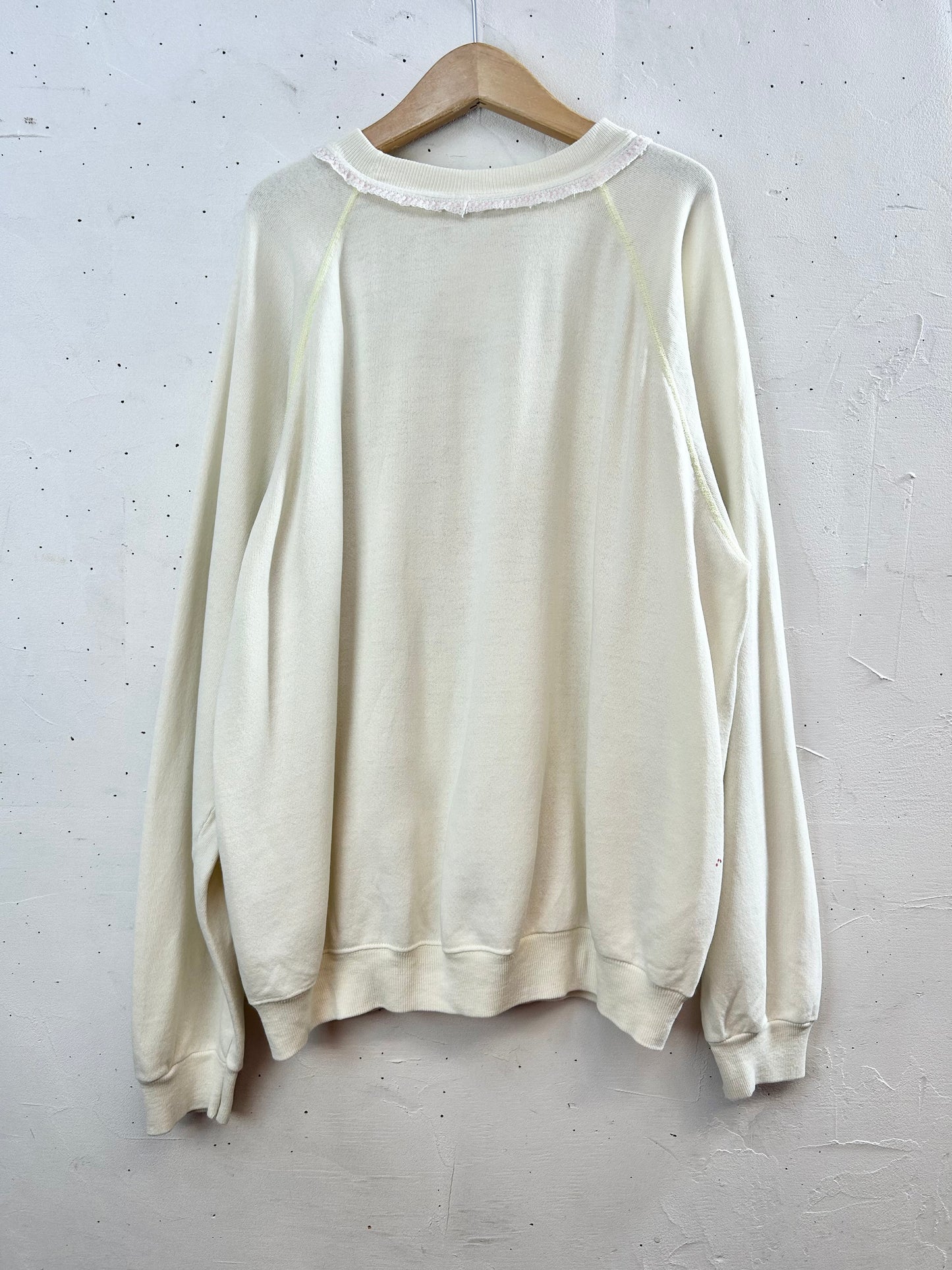 ’80s Vintage Hand Painted Sweat MADE IN USA 〜Hanes〜 [A29431]