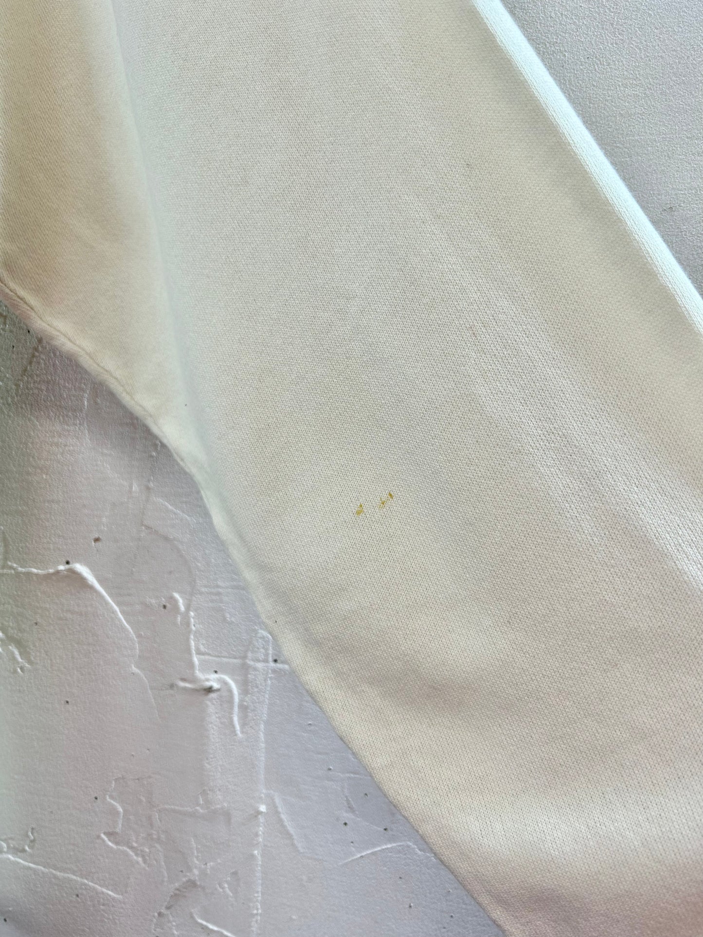’80s Vintage Hand Painted Sweat MADE IN USA 〜Hanes〜 [A29431]