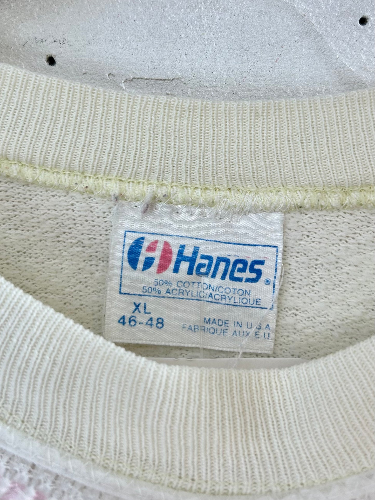 ’80s Vintage Hand Painted Sweat MADE IN USA 〜Hanes〜 [A29431]