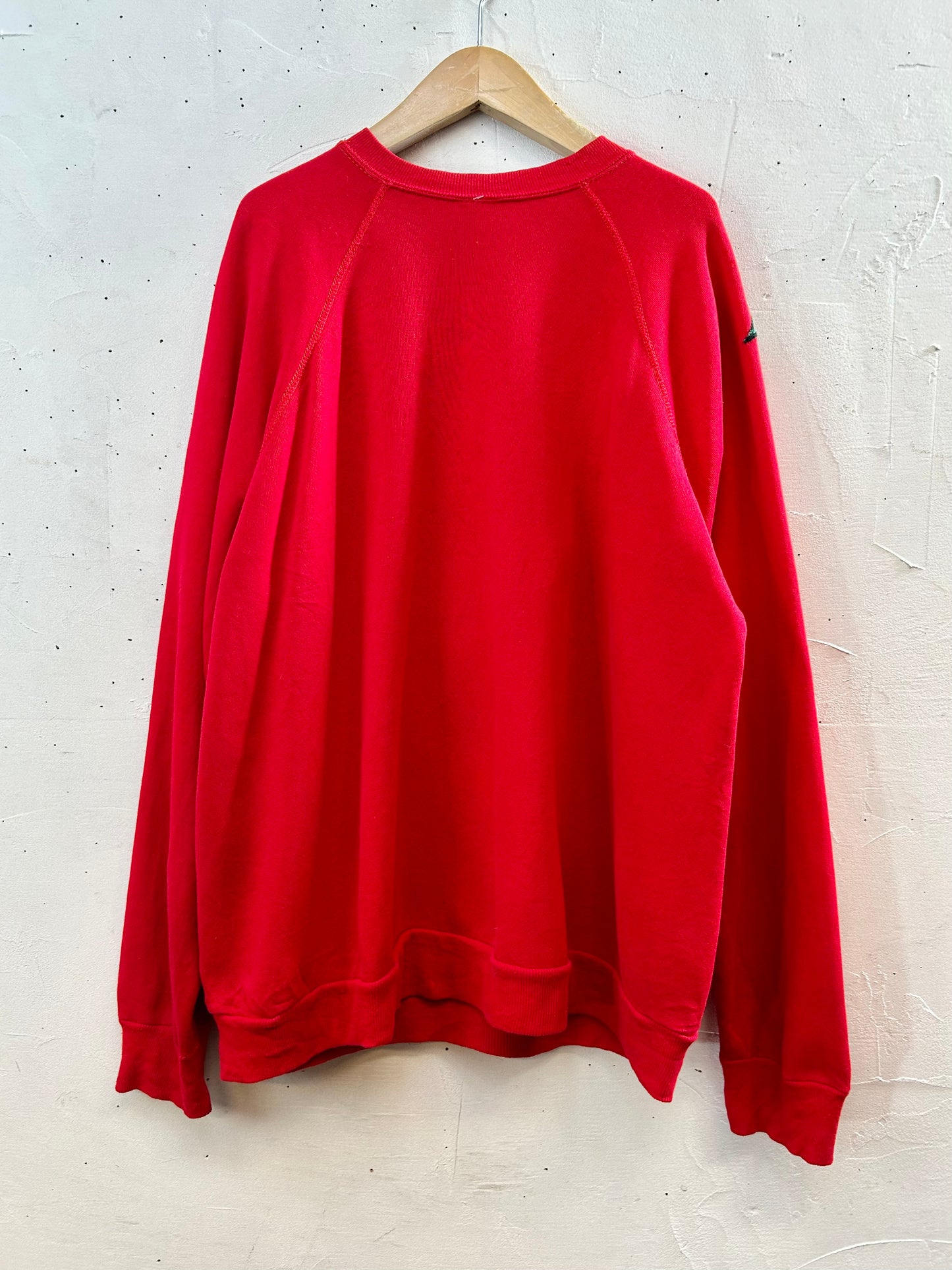 Vintage Custom Sweat MADE IN USA 〜TULTEX〜 [K28813]