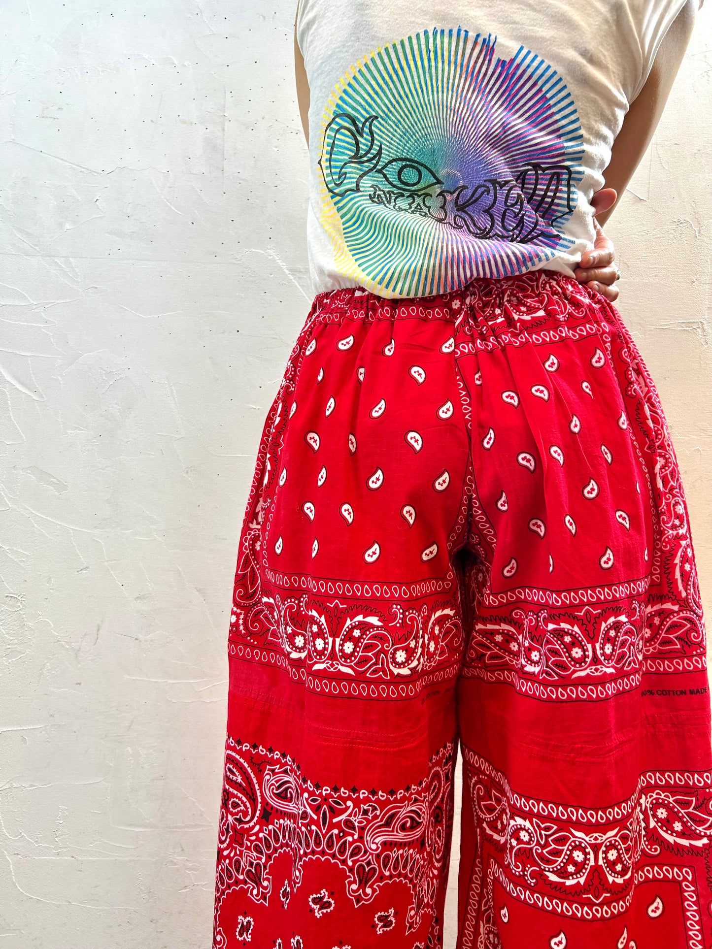 Vintage Bandana Pants 〜Amy Nina〜 [G27847]