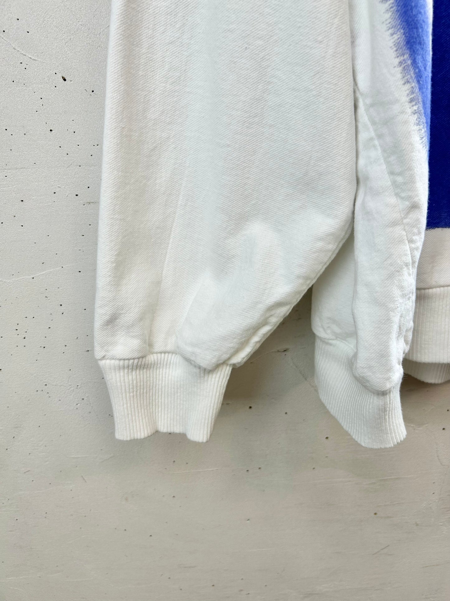 Vintage Hand Painted Sweat MADE IN USA [F30351]